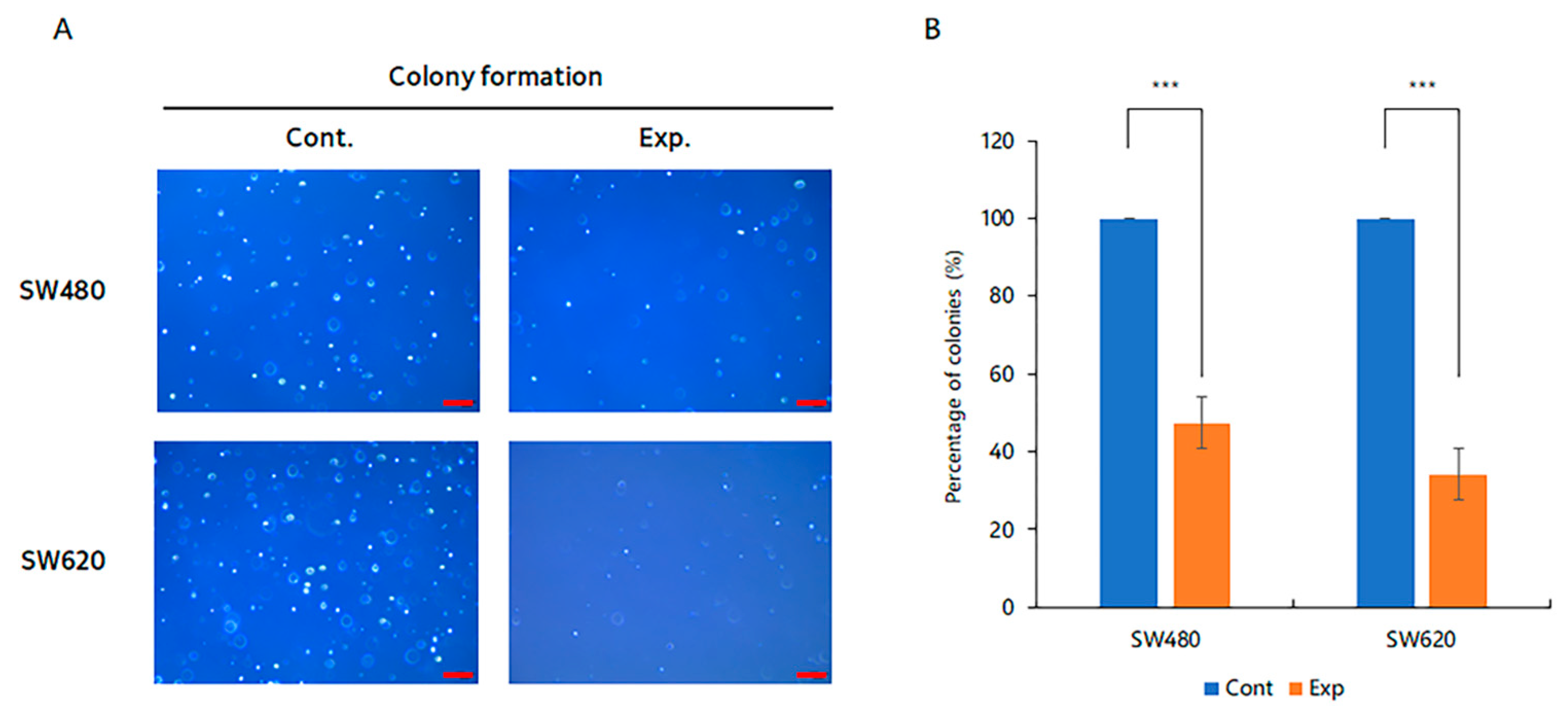Ijms 24 06476 g005 Ijms 24 06476 g005