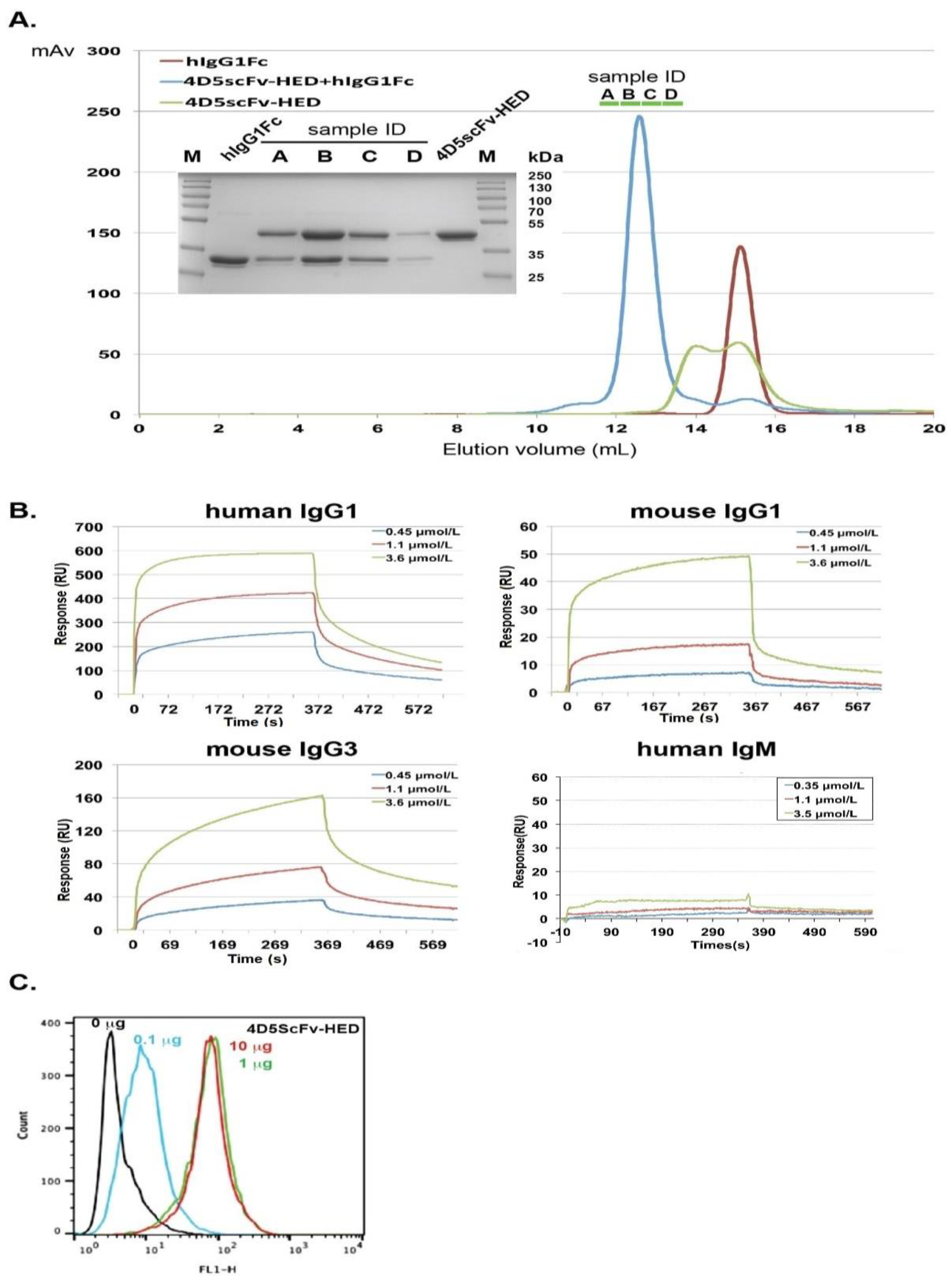 Ijms 24 06477 g003 Ijms 24 06477 g003