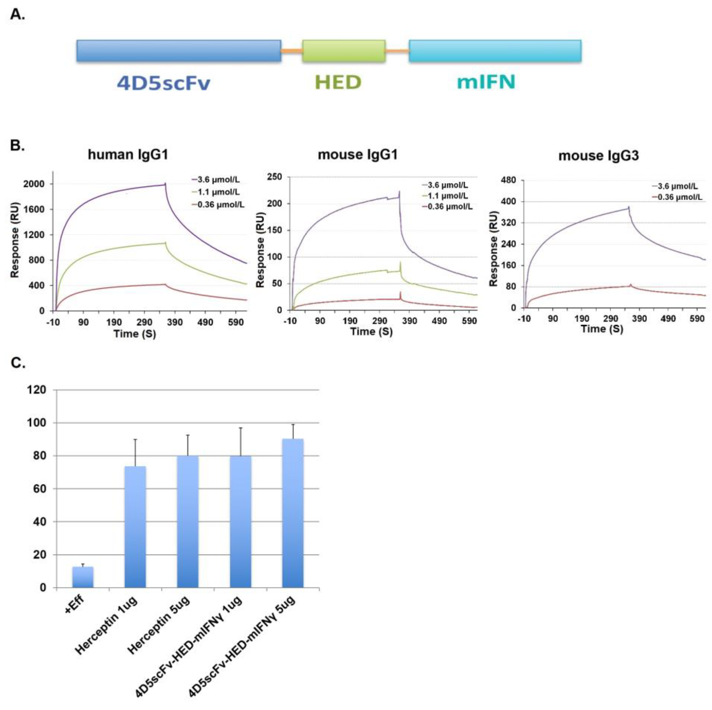 Ijms 24 06477 g004 Ijms 24 06477 g004