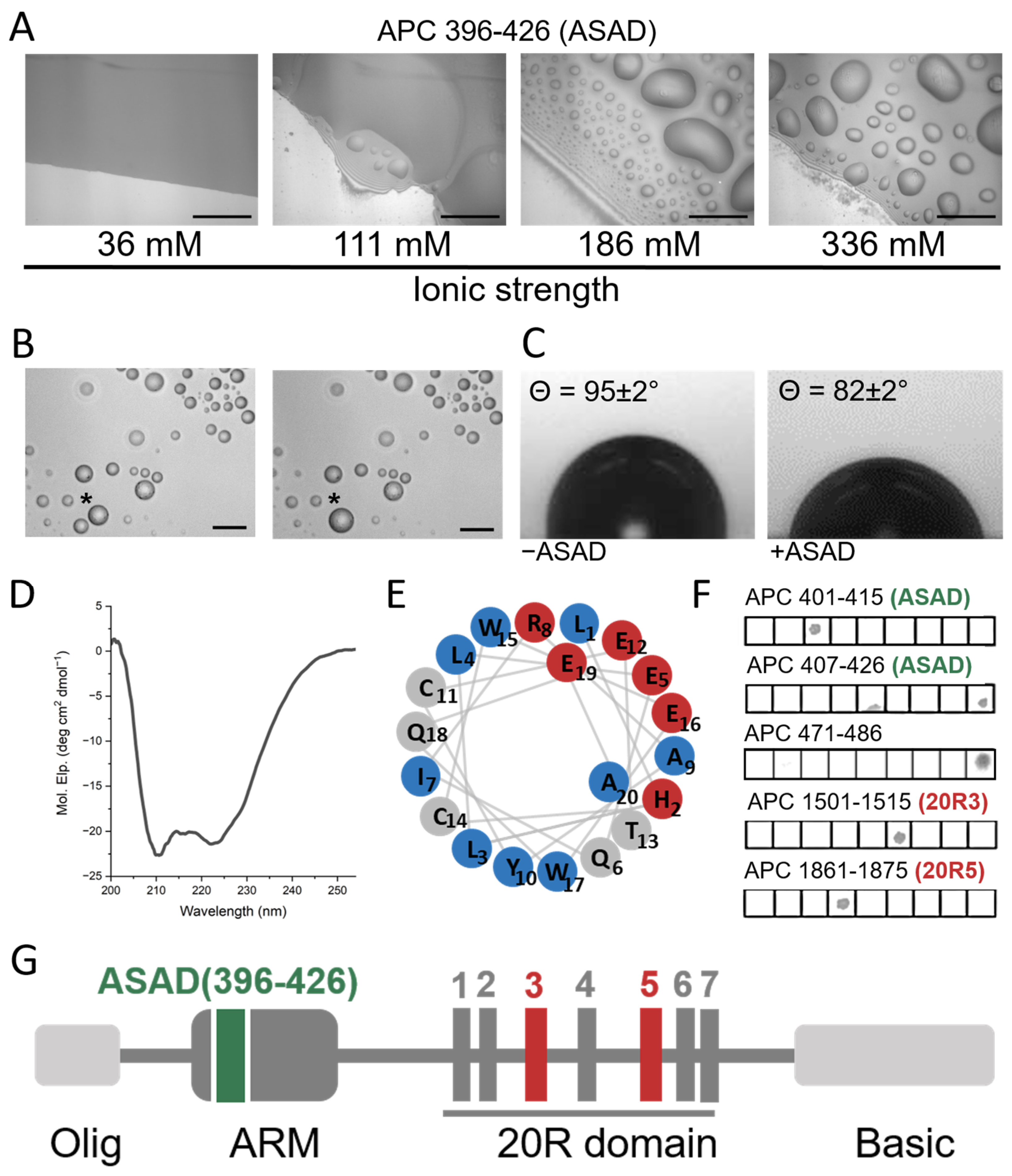 Ijms 24 06478 g002 Ijms 24 06478 g002