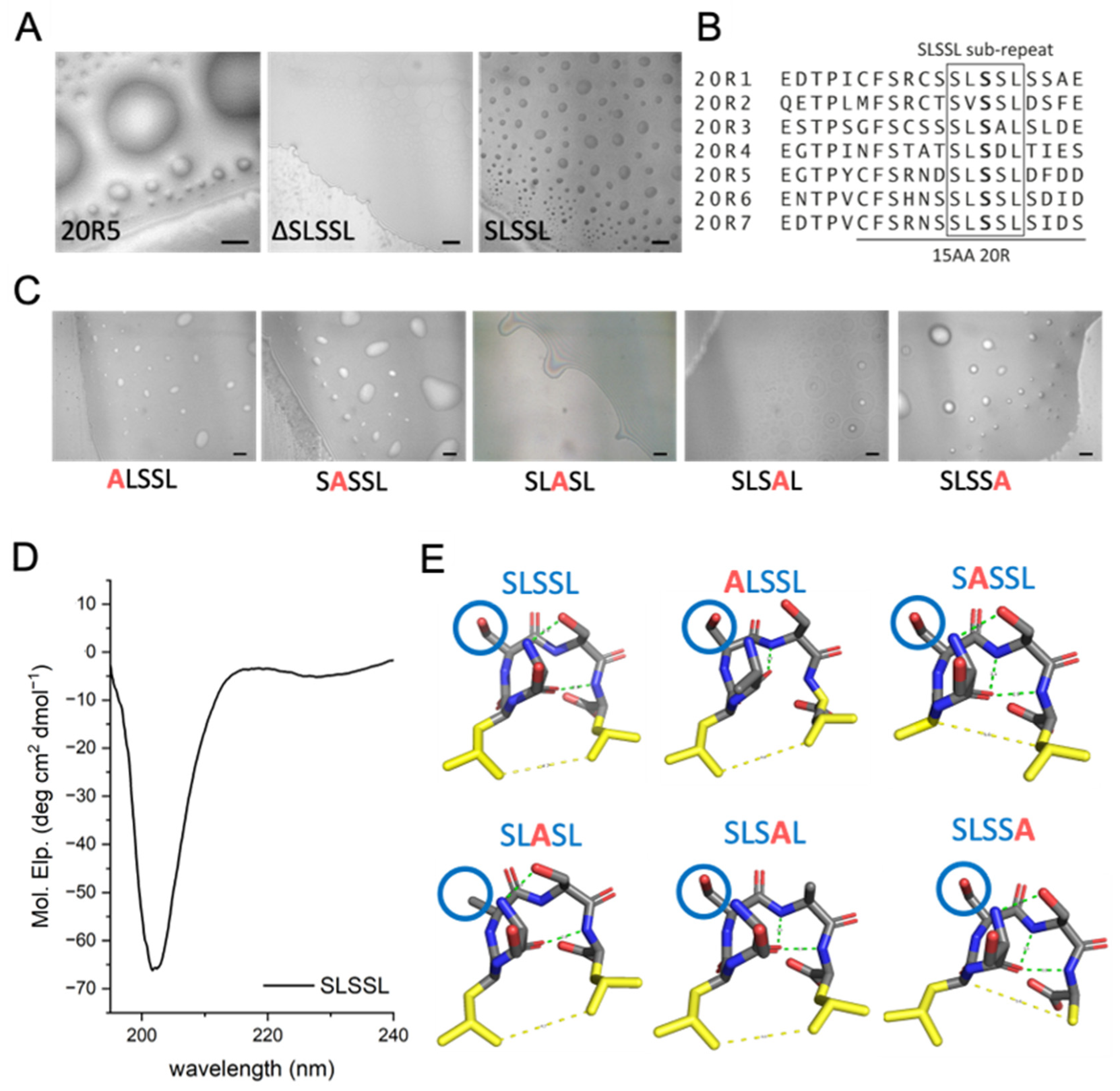 Ijms 24 06478 g005 Ijms 24 06478 g005