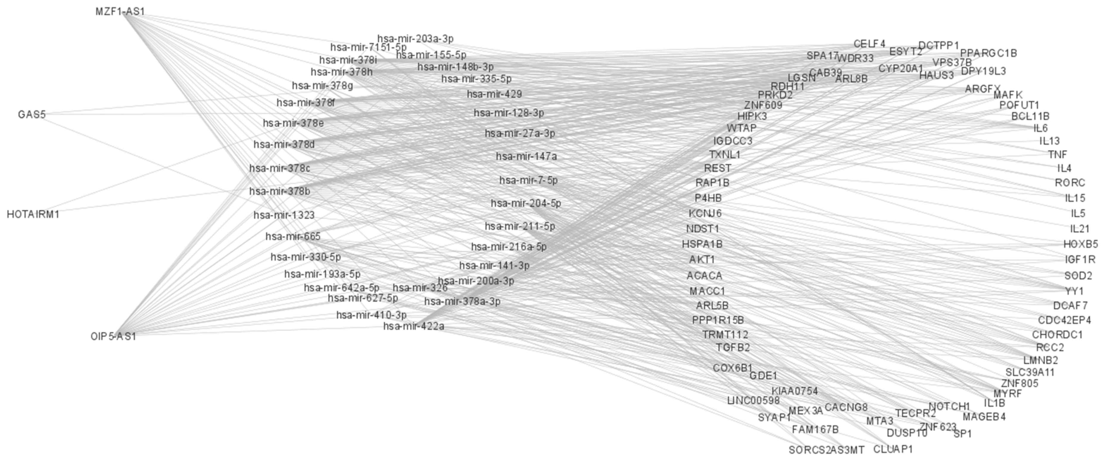 Ijms 24 06481 g004 Ijms 24 06481 g004