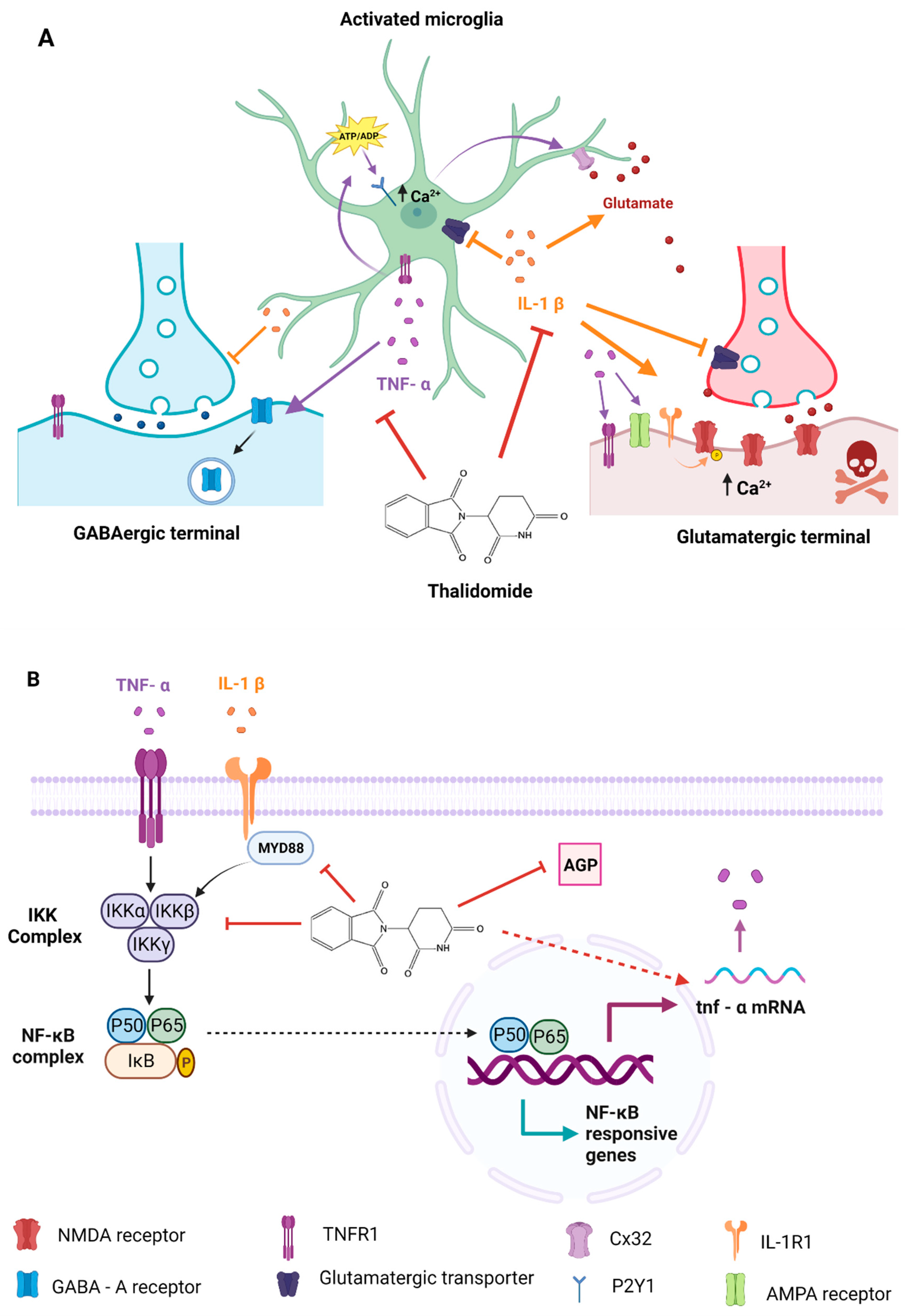 Ijms 24 06488 g004 Ijms 24 06488 g004