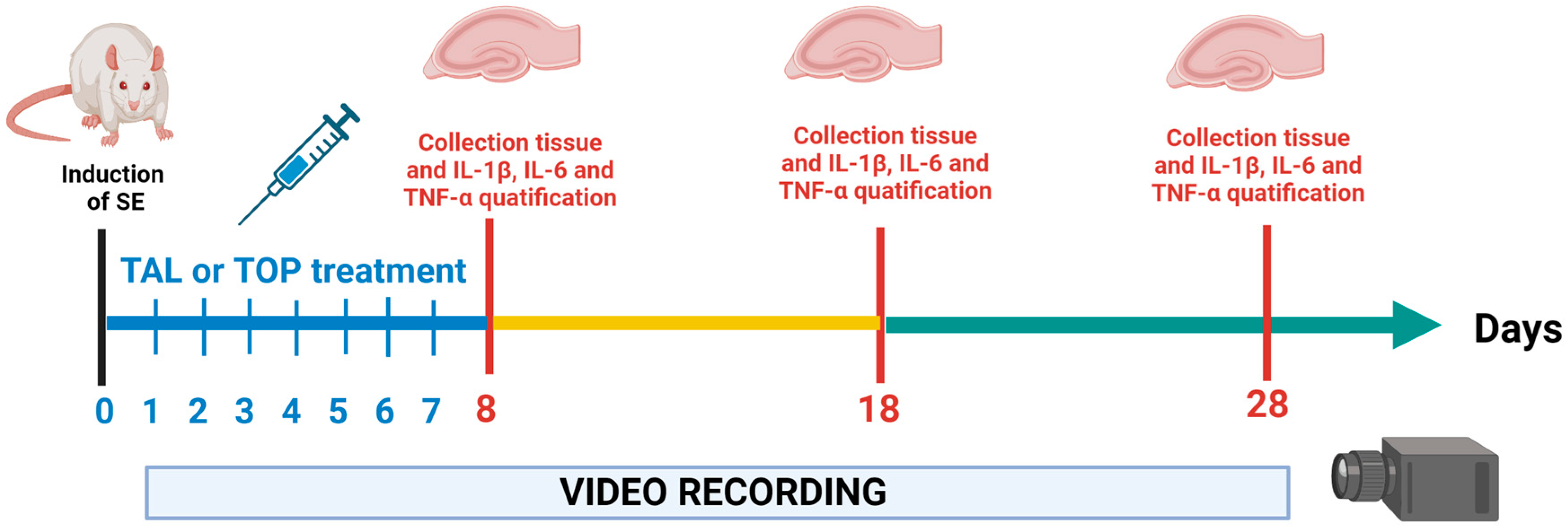 Ijms 24 06488 g005 Ijms 24 06488 g005