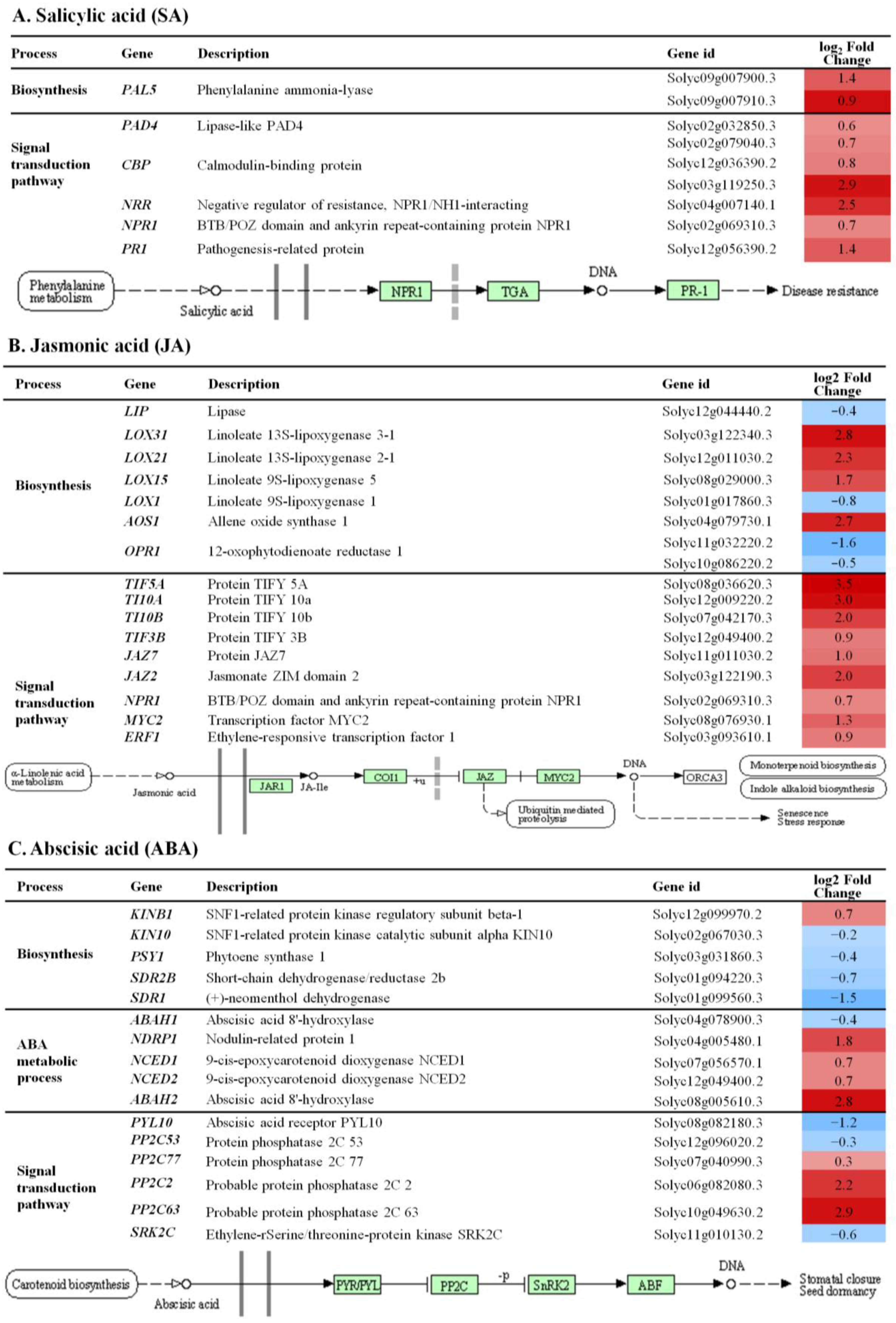 Ijms 24 06494 g002 Ijms 24 06494 g002
