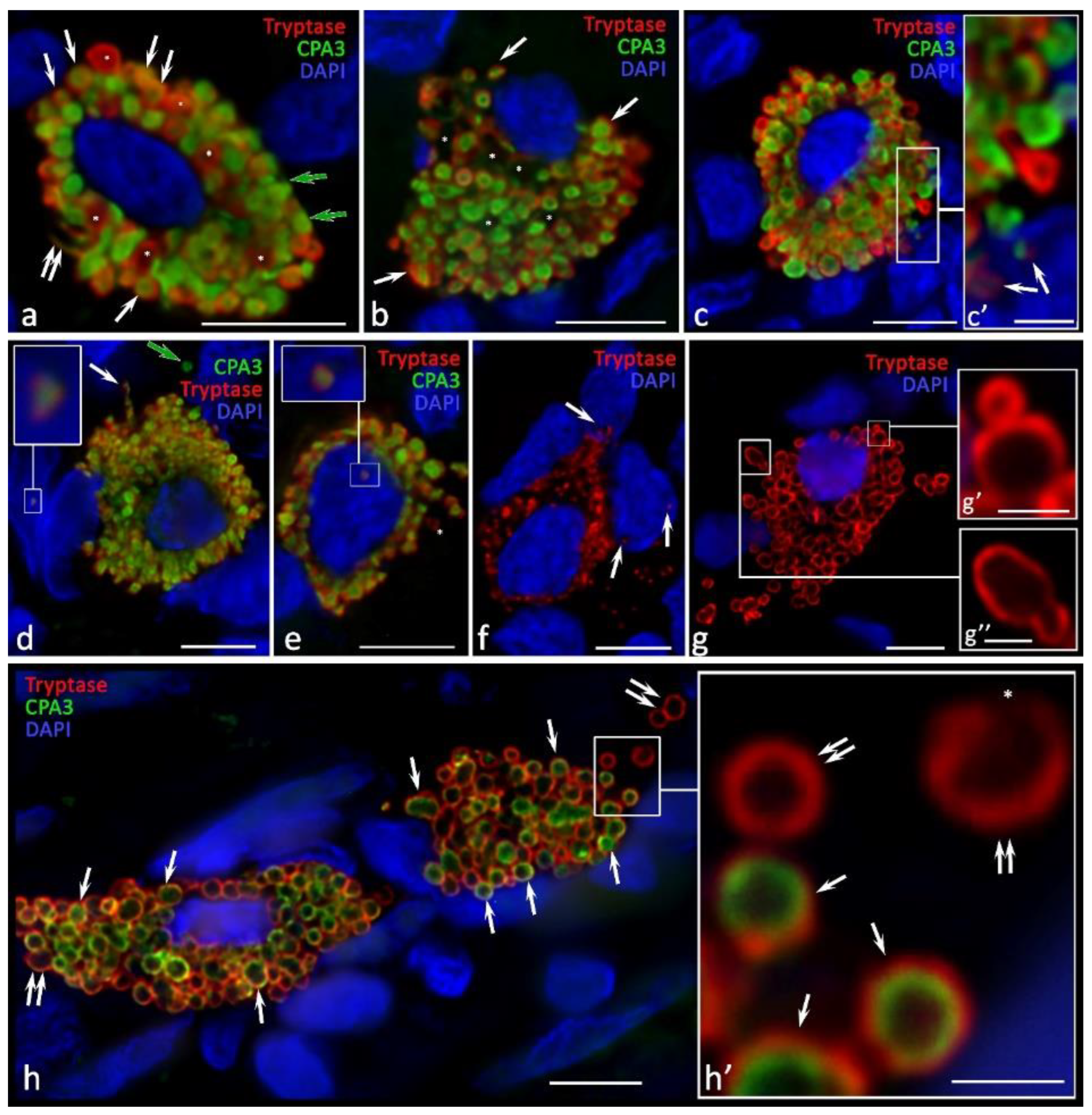 Ijms 24 06498 g005 Ijms 24 06498 g005