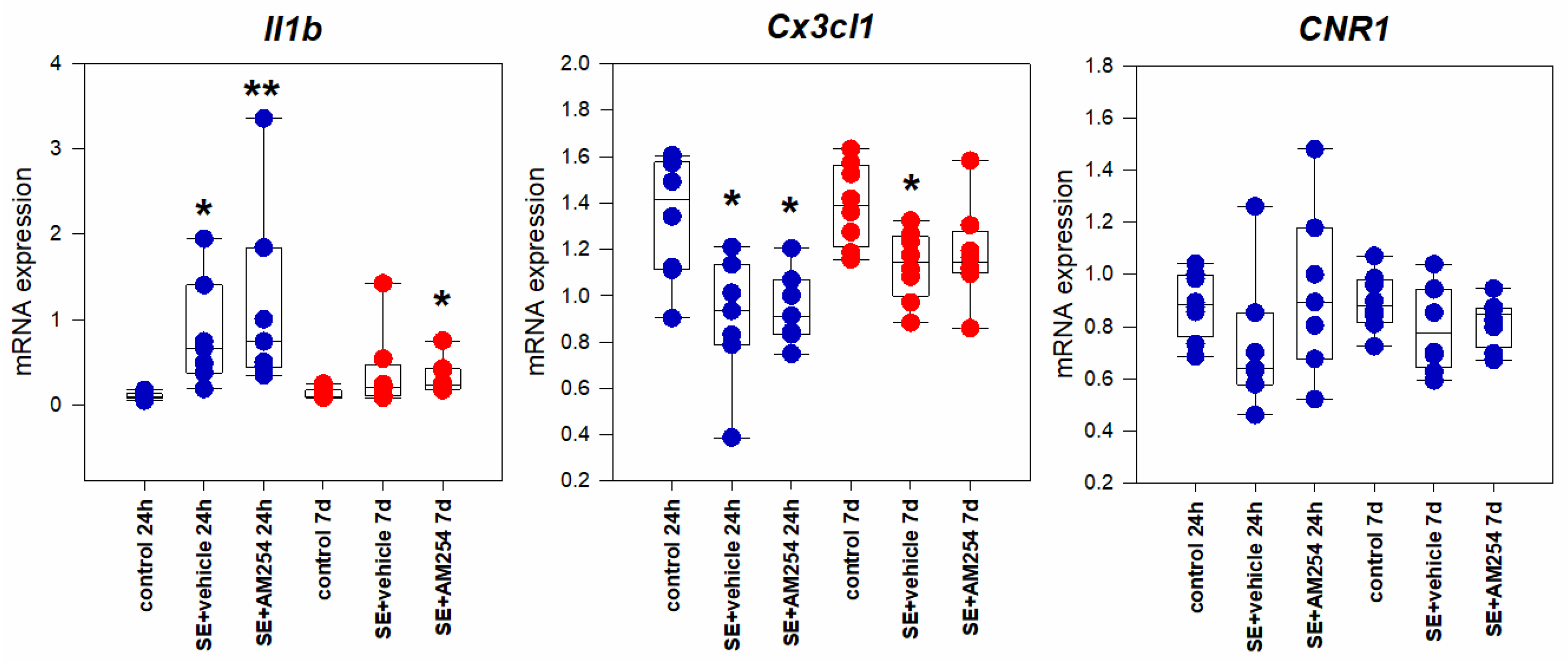 Ijms 24 06509 g002 Ijms 24 06509 g002