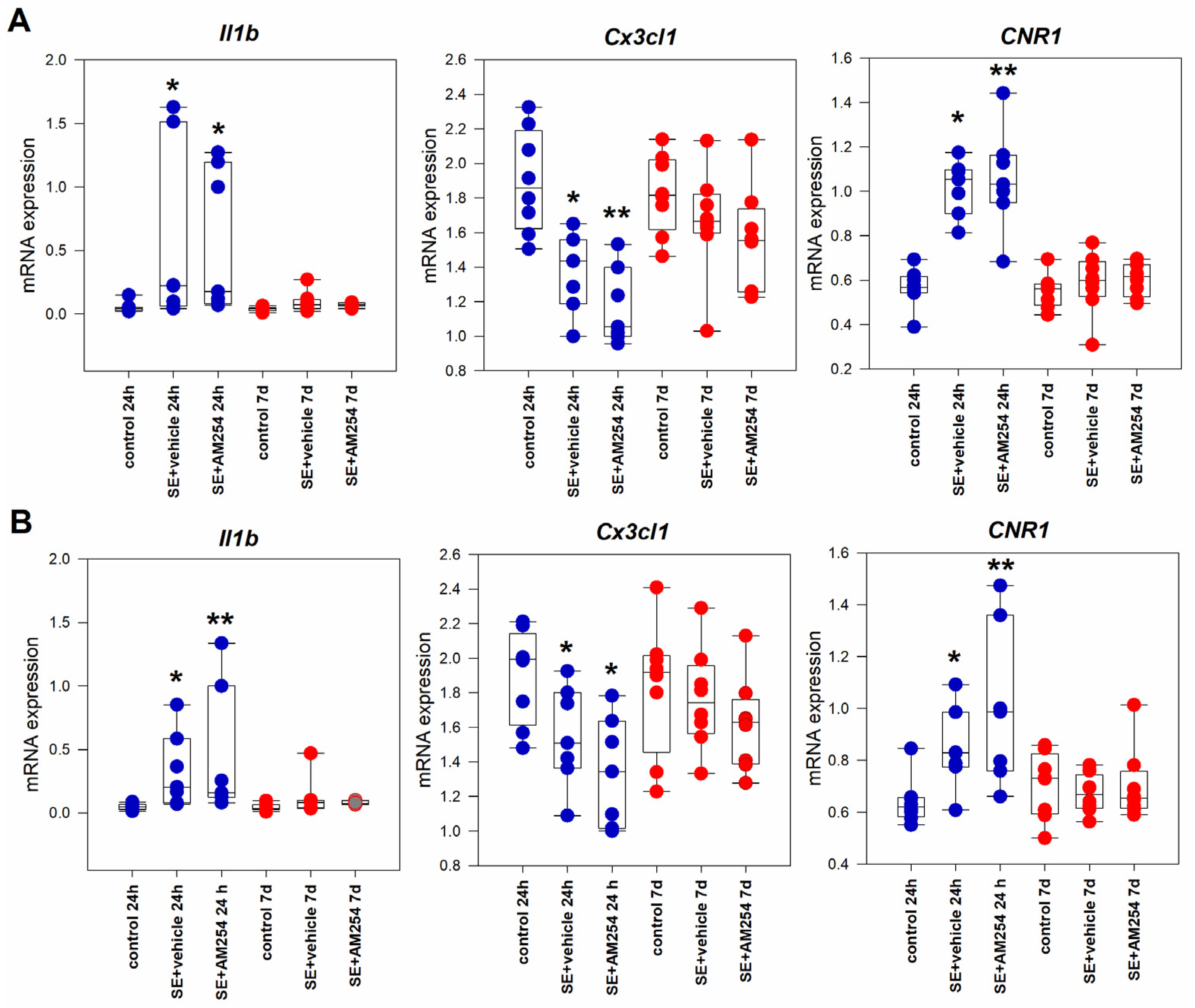 Ijms 24 06509 g003 Ijms 24 06509 g003
