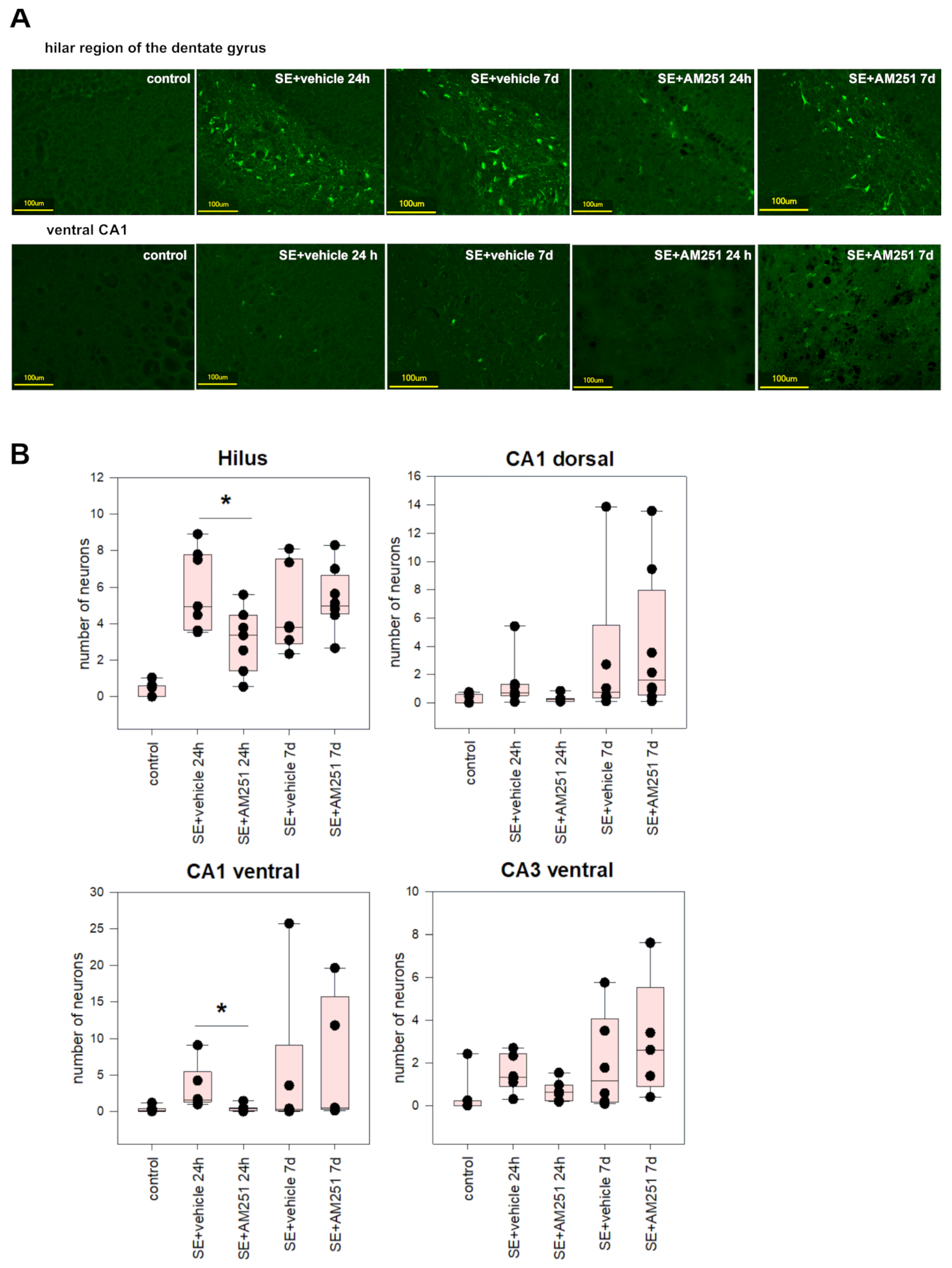 Ijms 24 06509 g004 Ijms 24 06509 g004