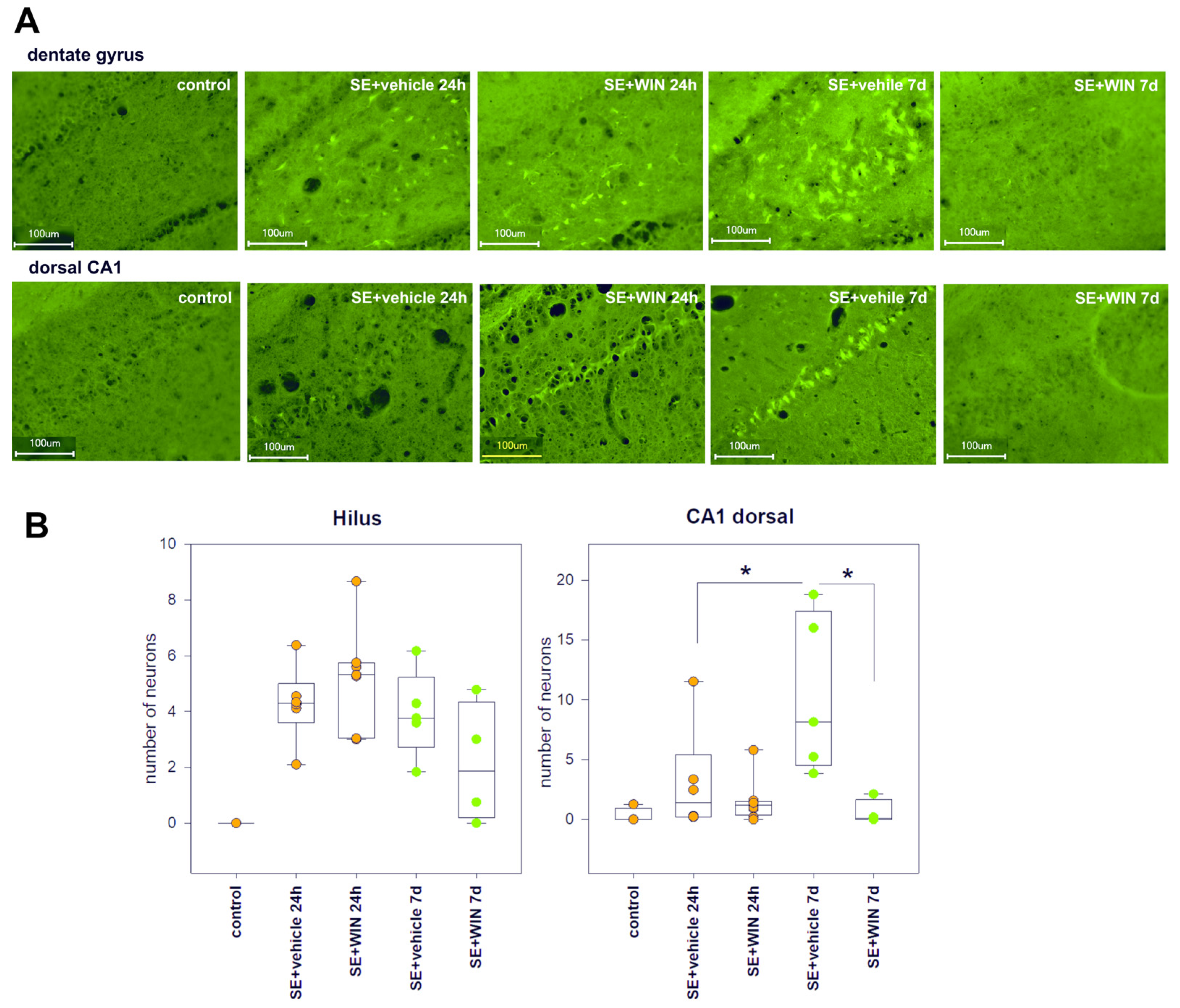 Ijms 24 06509 g005 Ijms 24 06509 g005