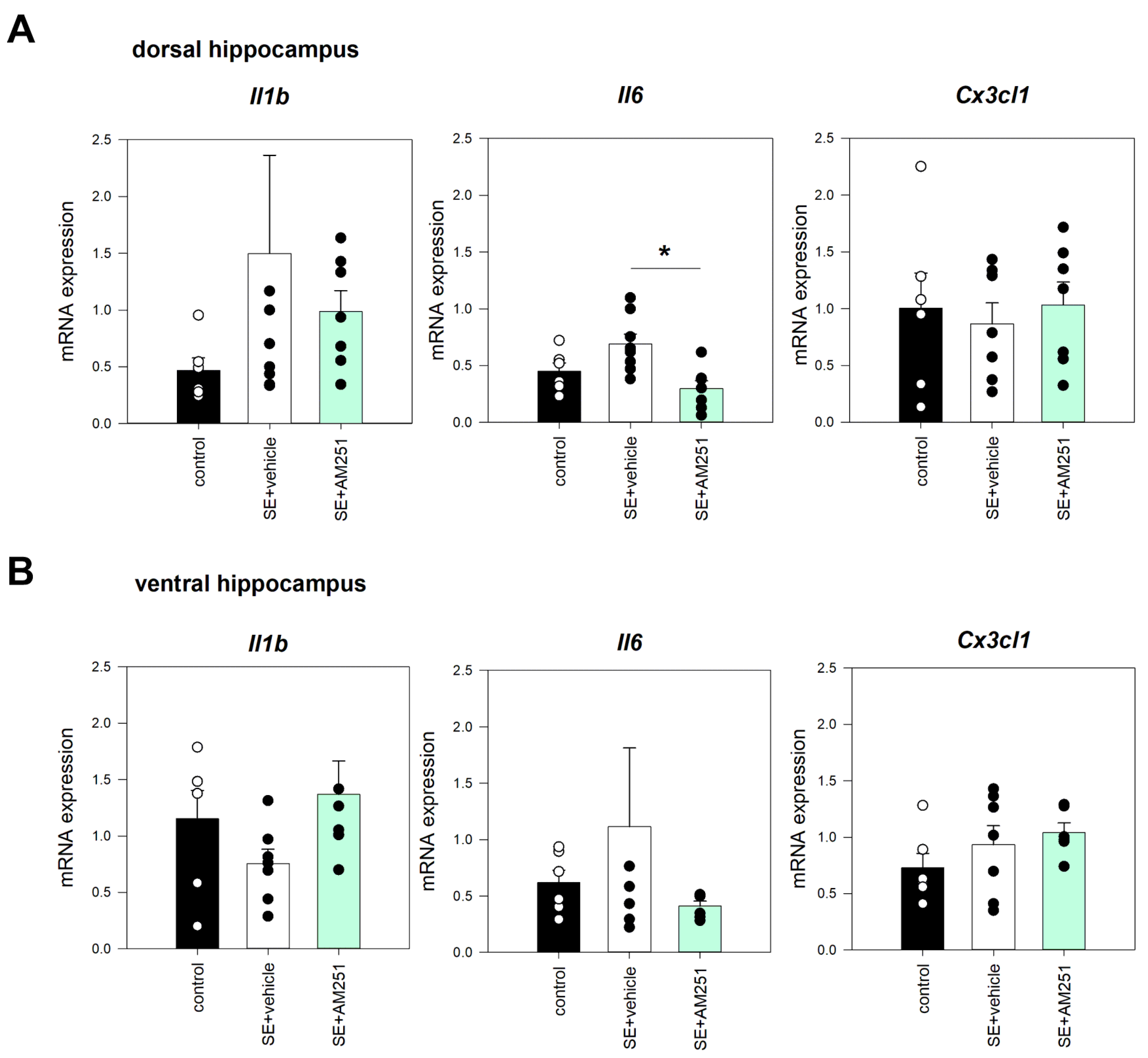 Ijms 24 06509 g006 Ijms 24 06509 g006