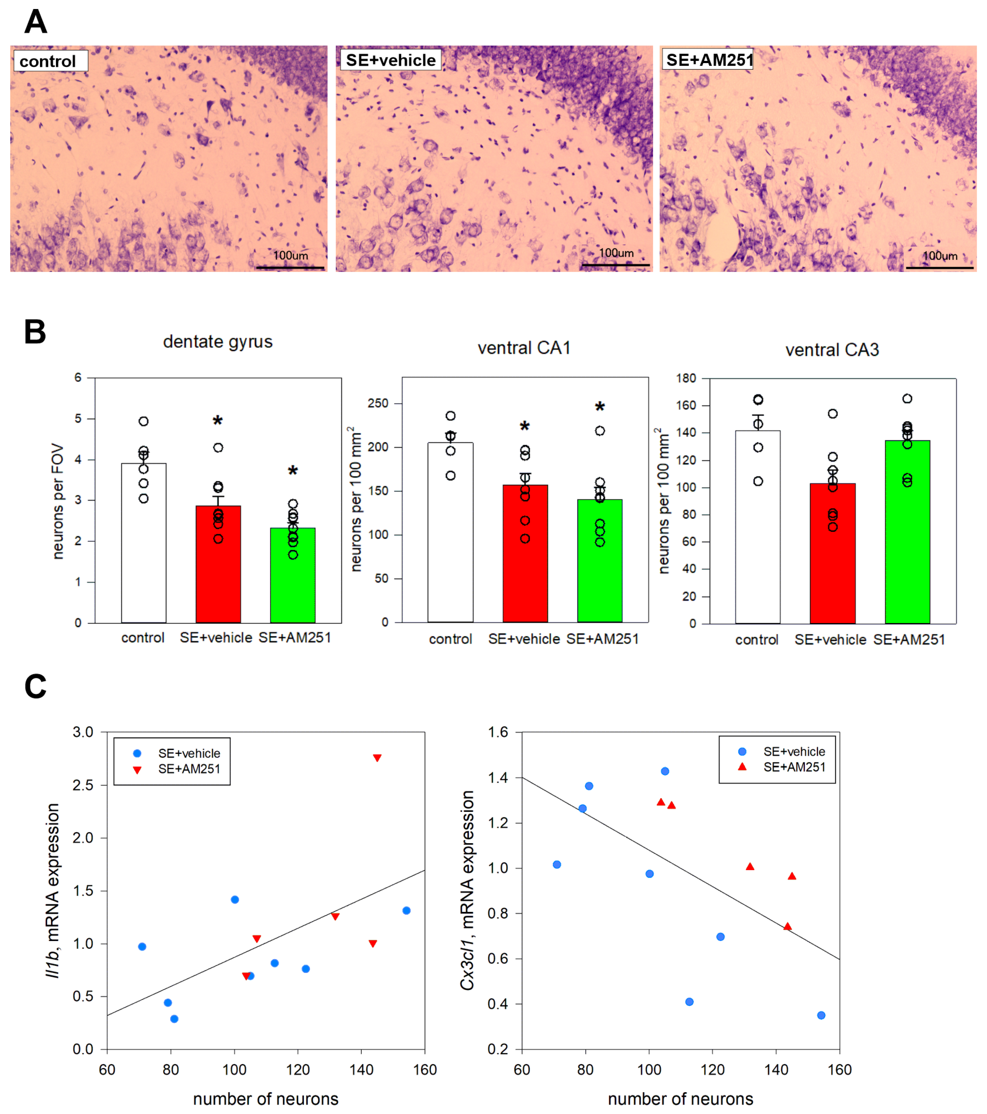Ijms 24 06509 g007 Ijms 24 06509 g007