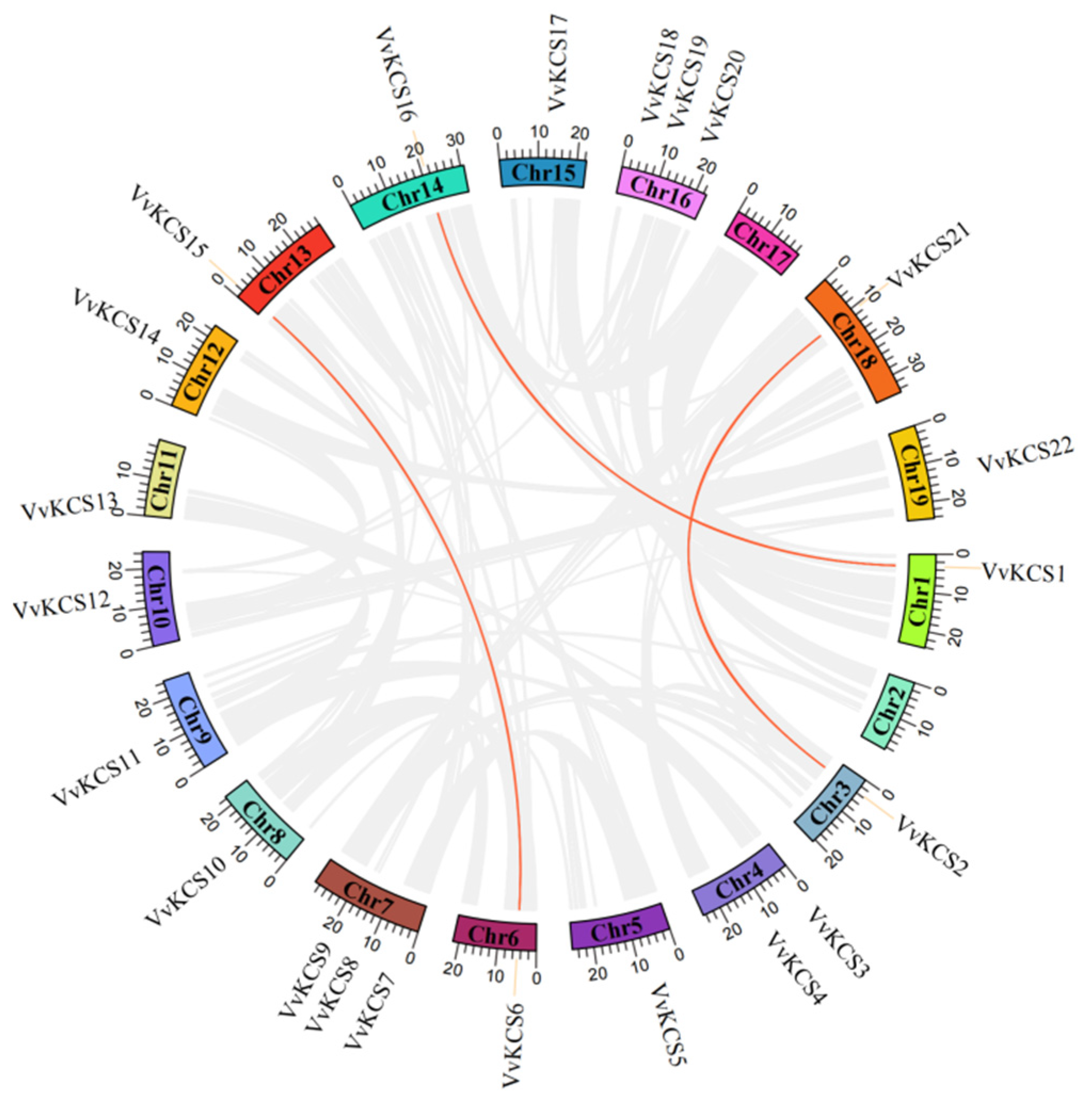 Ijms 24 06510 g002 Ijms 24 06510 g002