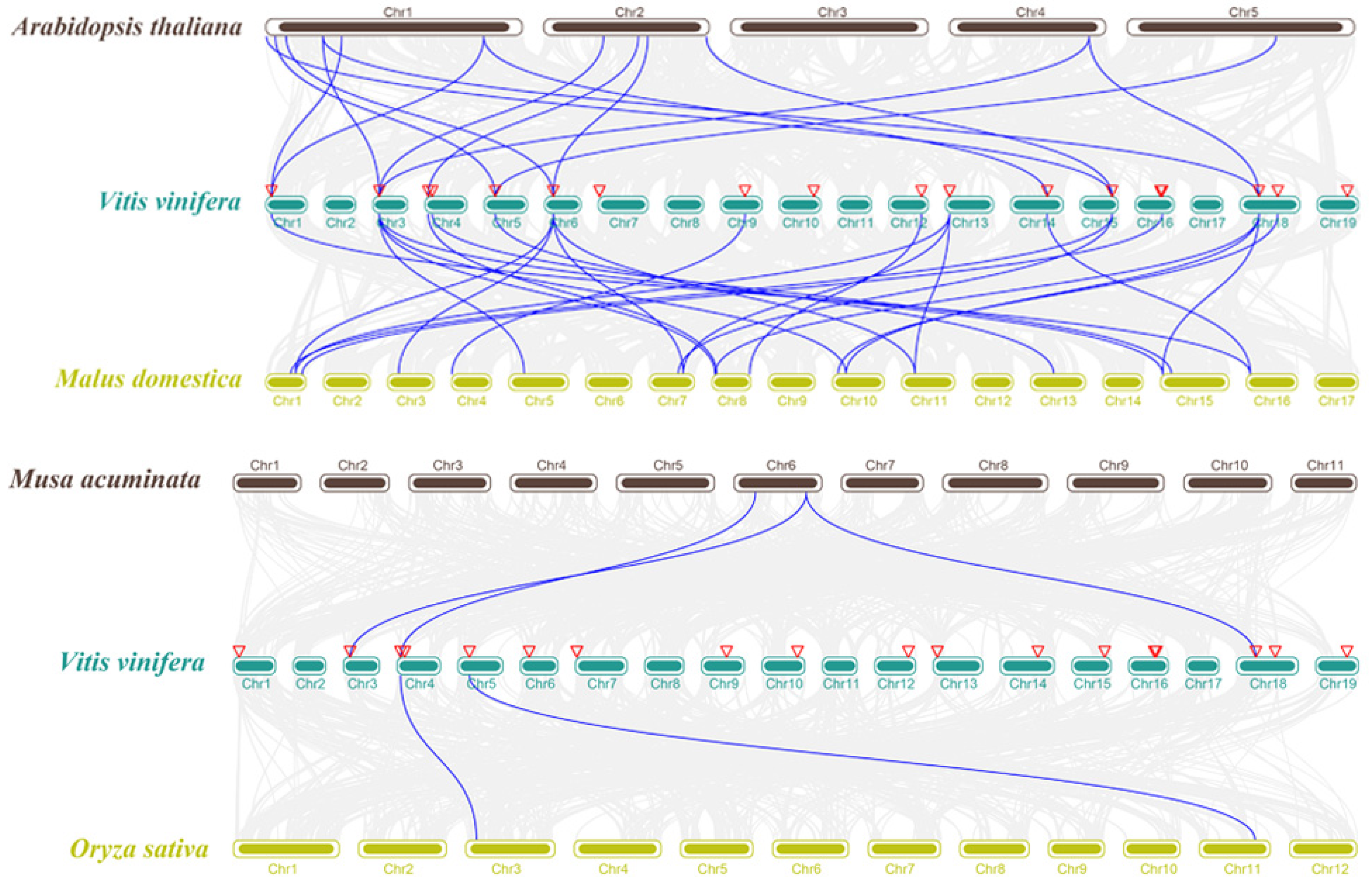 Ijms 24 06510 g003 Ijms 24 06510 g003