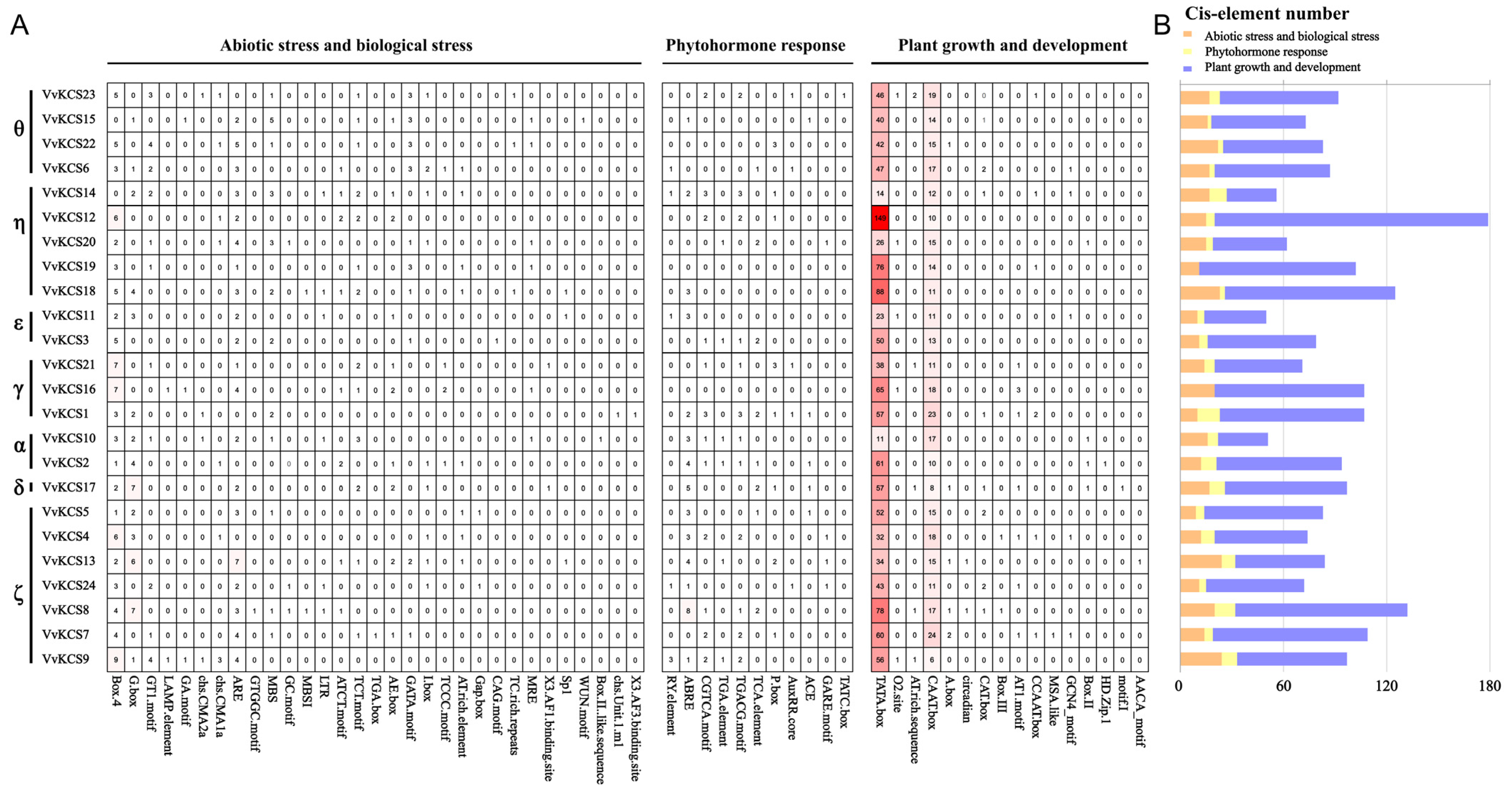 Ijms 24 06510 g005 Ijms 24 06510 g005