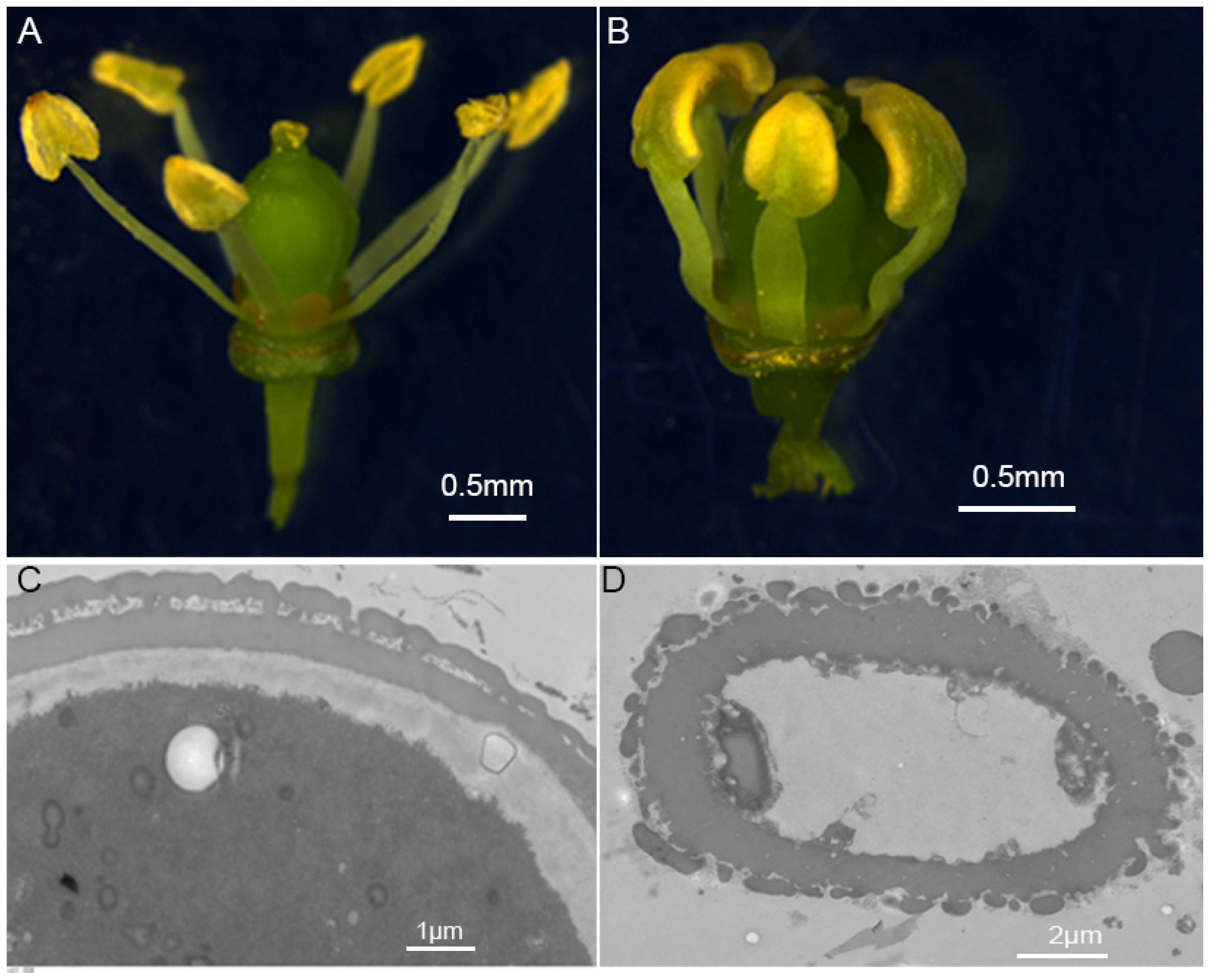 Ijms 24 06510 g006 Ijms 24 06510 g006
