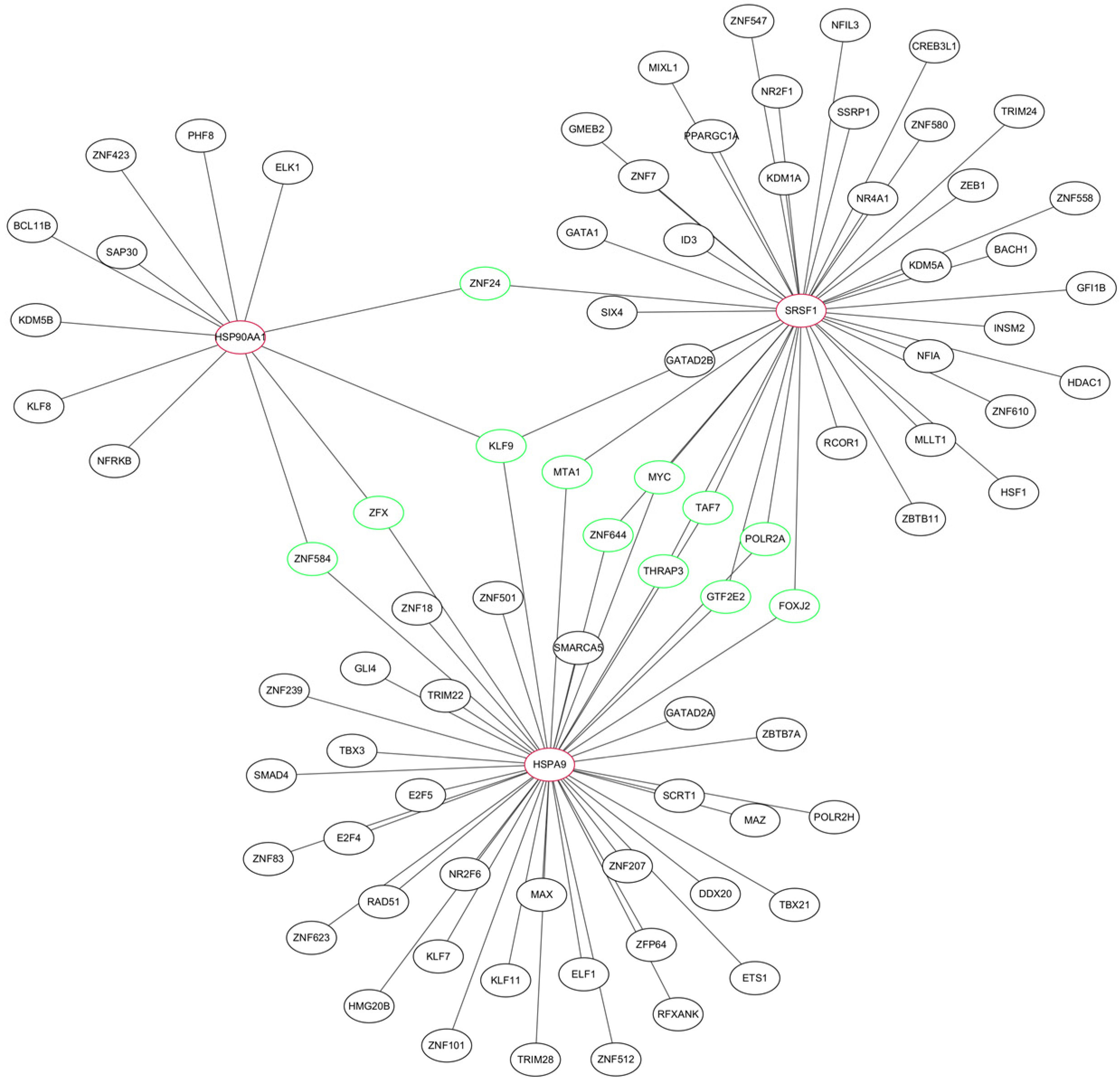 Ijms 24 06511 g006 Ijms 24 06511 g006