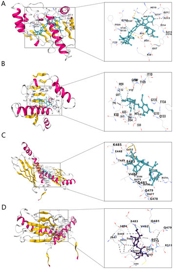 IJMS | Free Full-Text | Exploring Potential Biomarkers and 