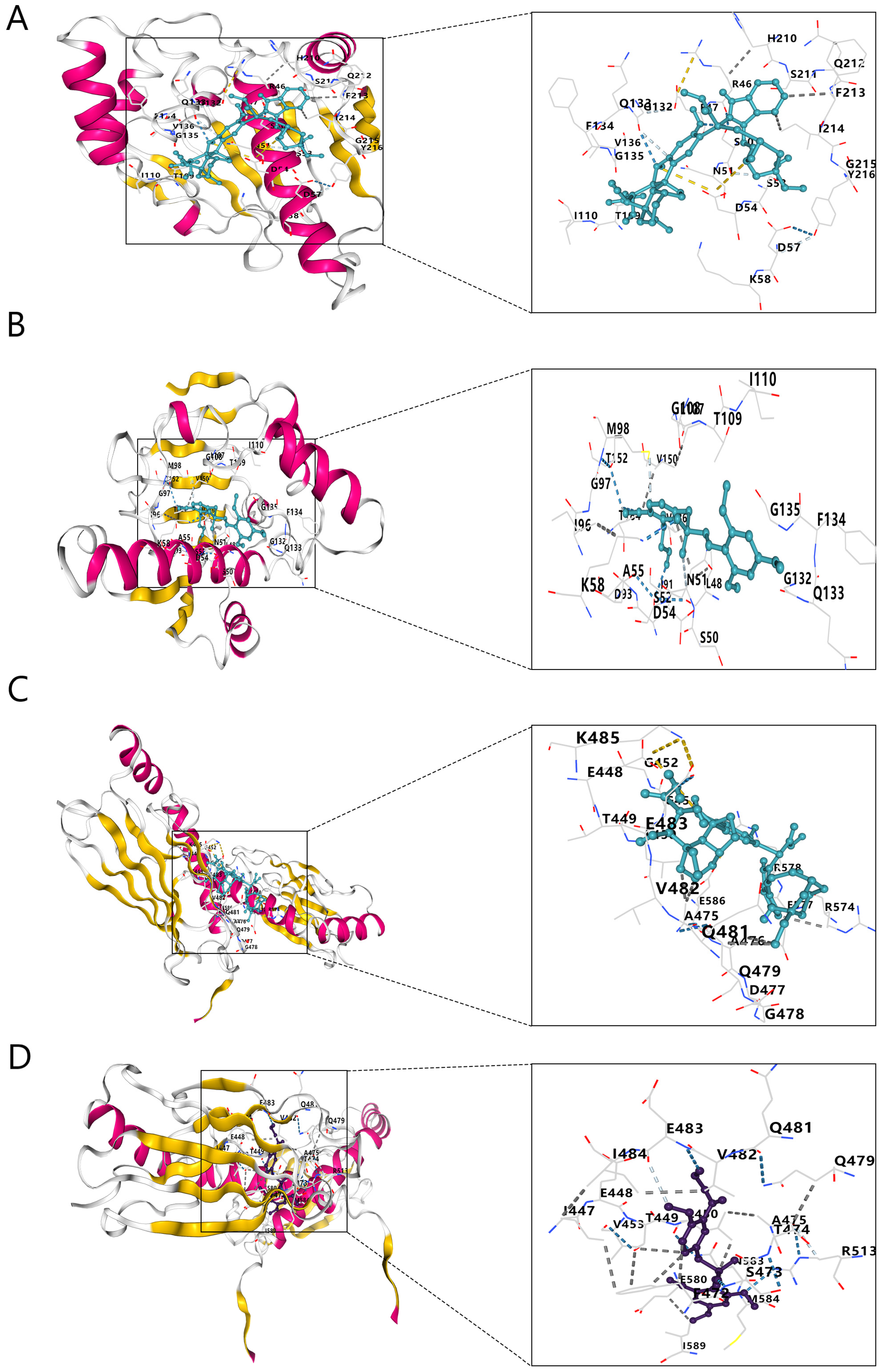 Ijms 24 06511 g008 Ijms 24 06511 g008