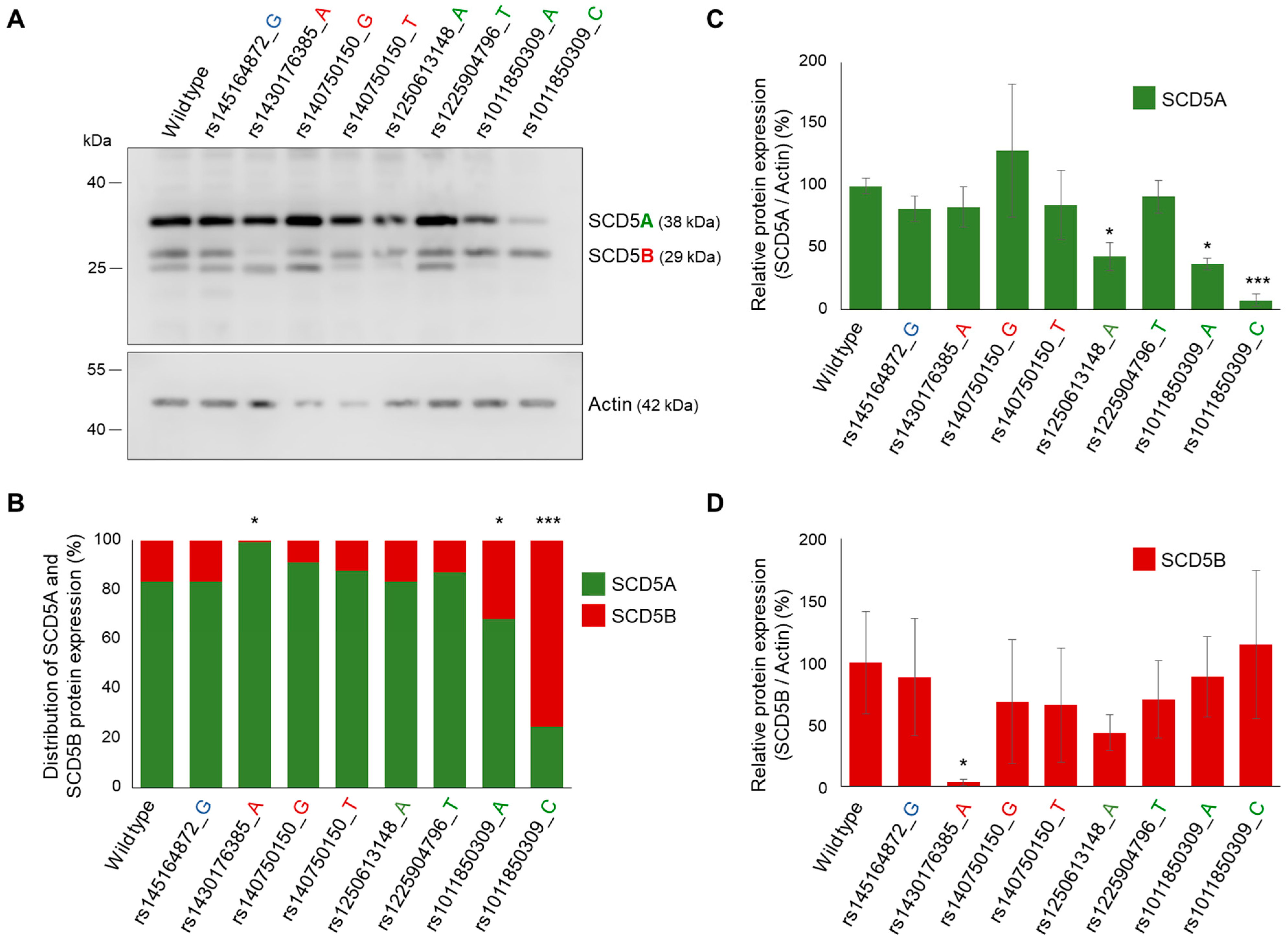 Ijms 24 06517 g006 Ijms 24 06517 g006