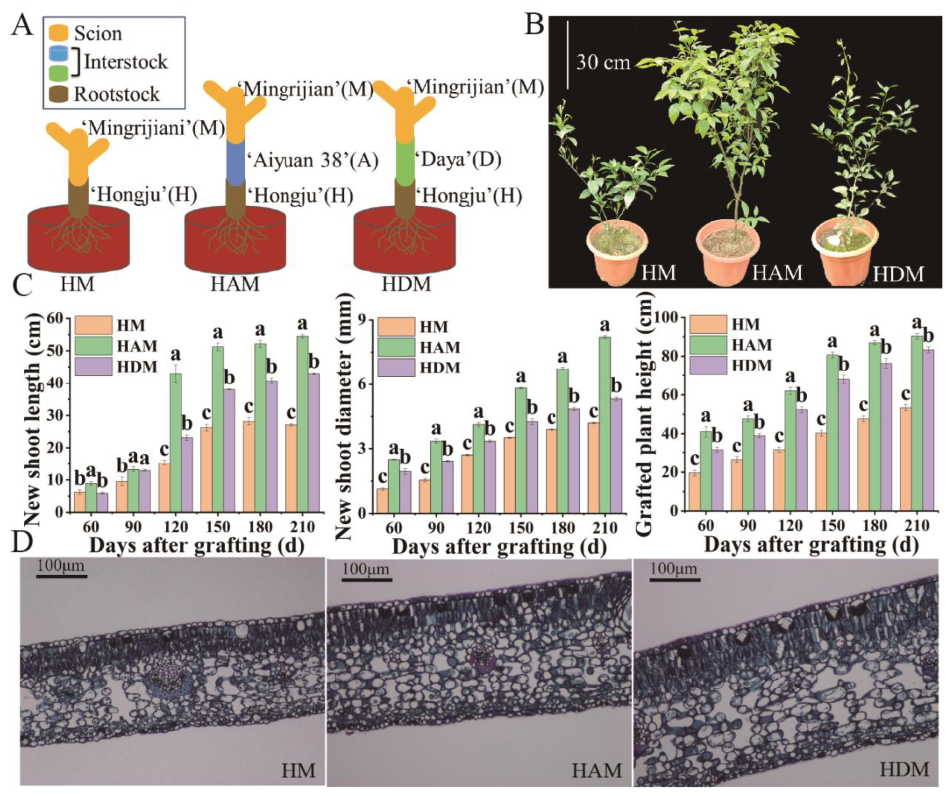 Ijms 24 06533 g001 Ijms 24 06533 g001