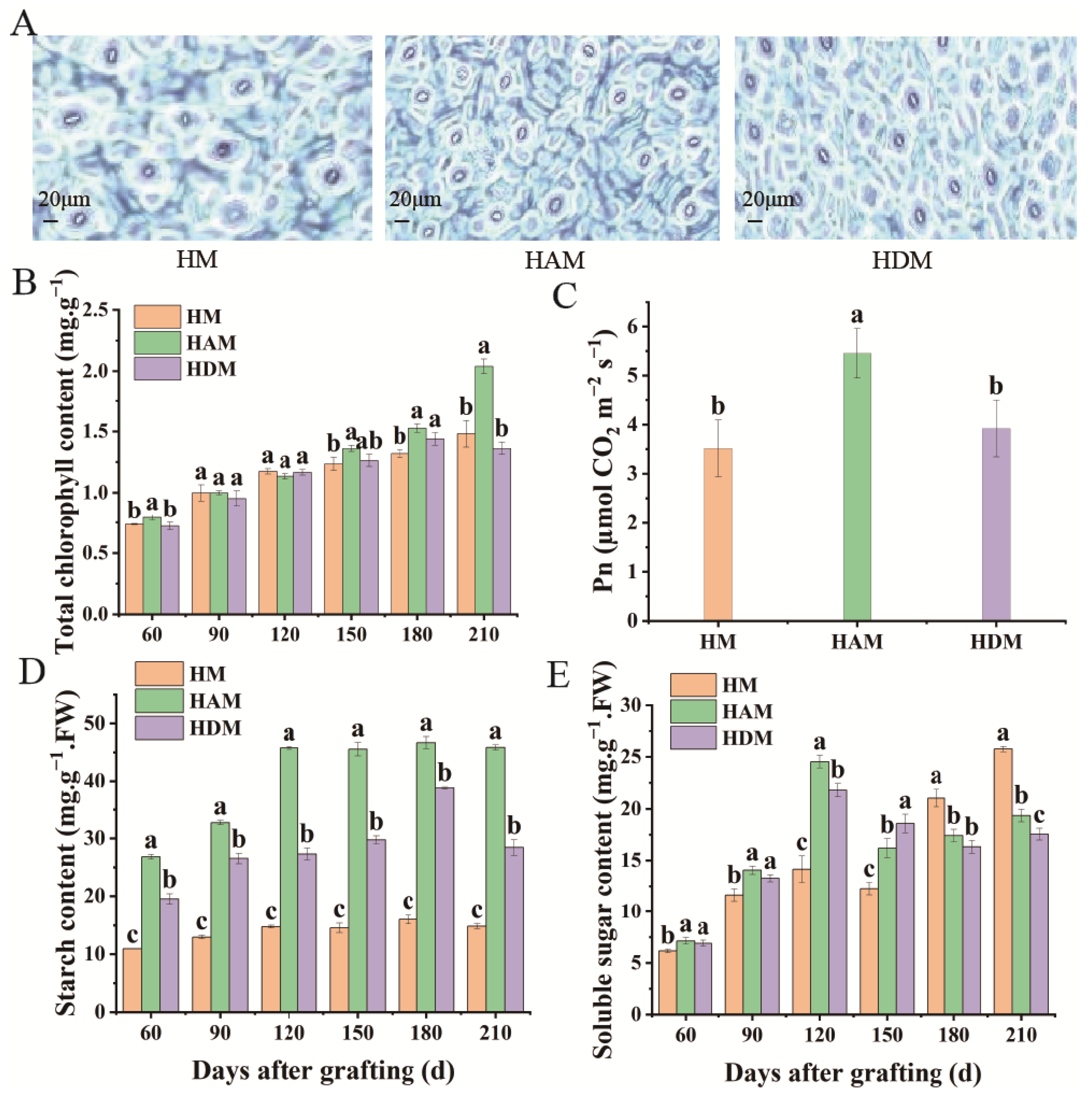 Ijms 24 06533 g002 Ijms 24 06533 g002