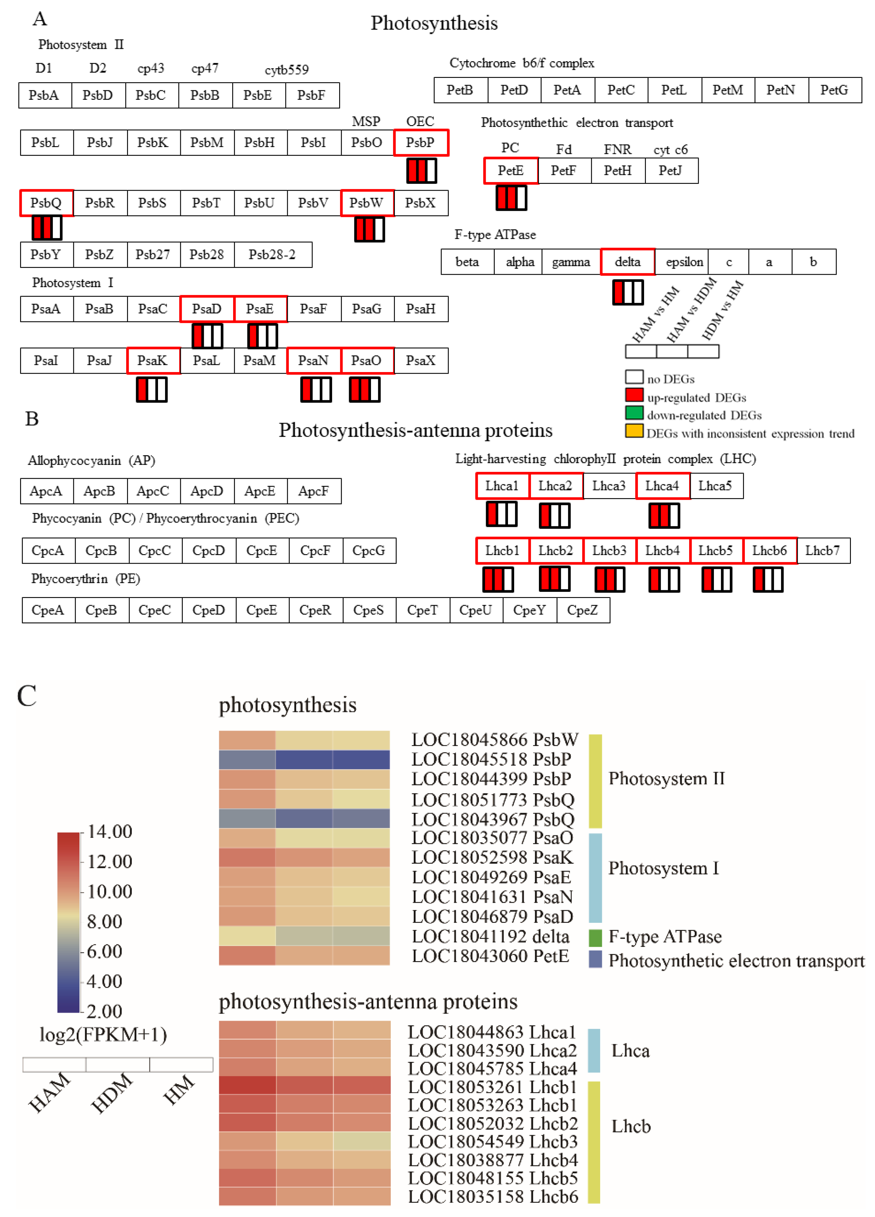 Ijms 24 06533 g006 Ijms 24 06533 g006