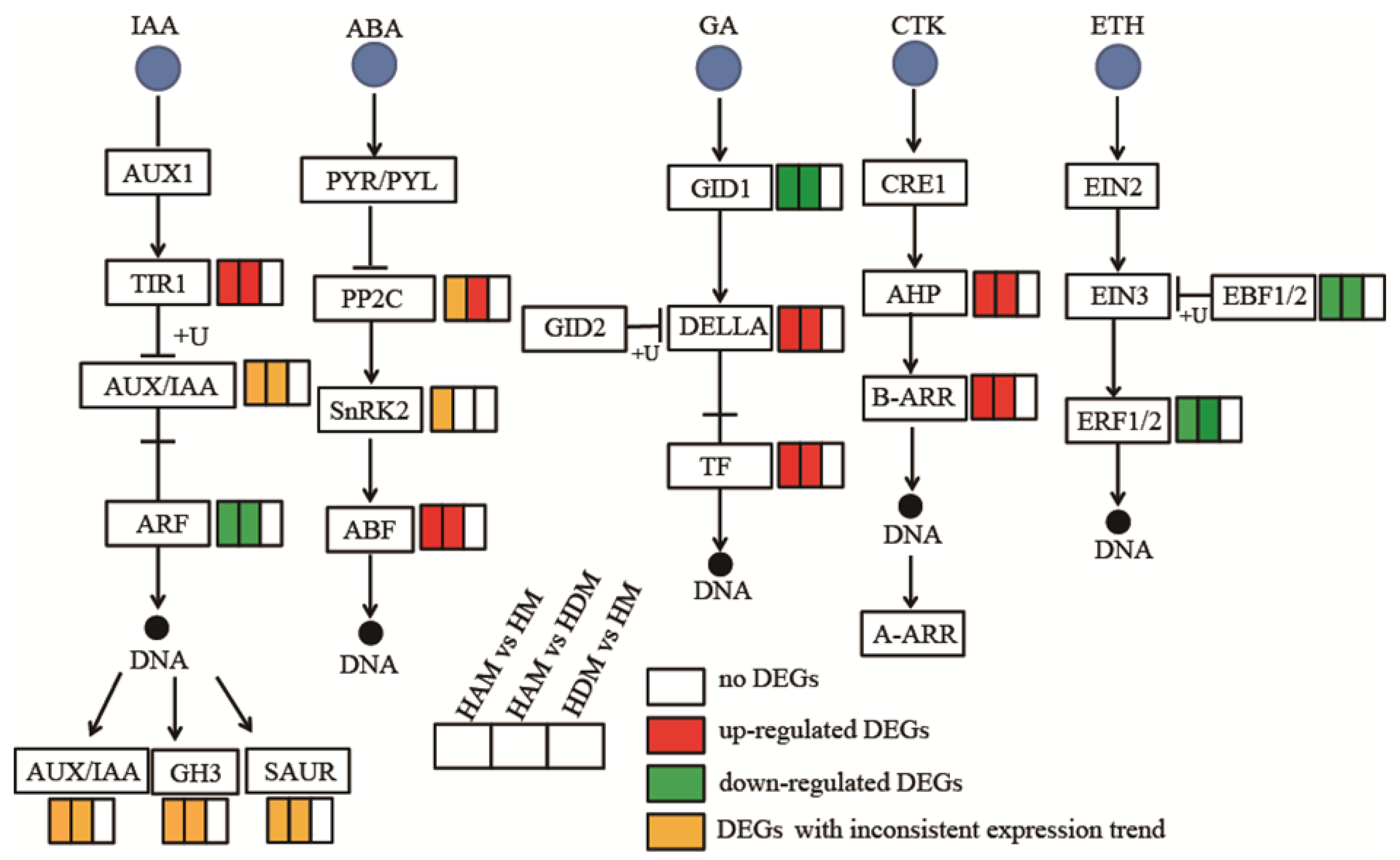 Ijms 24 06533 g007 Ijms 24 06533 g007