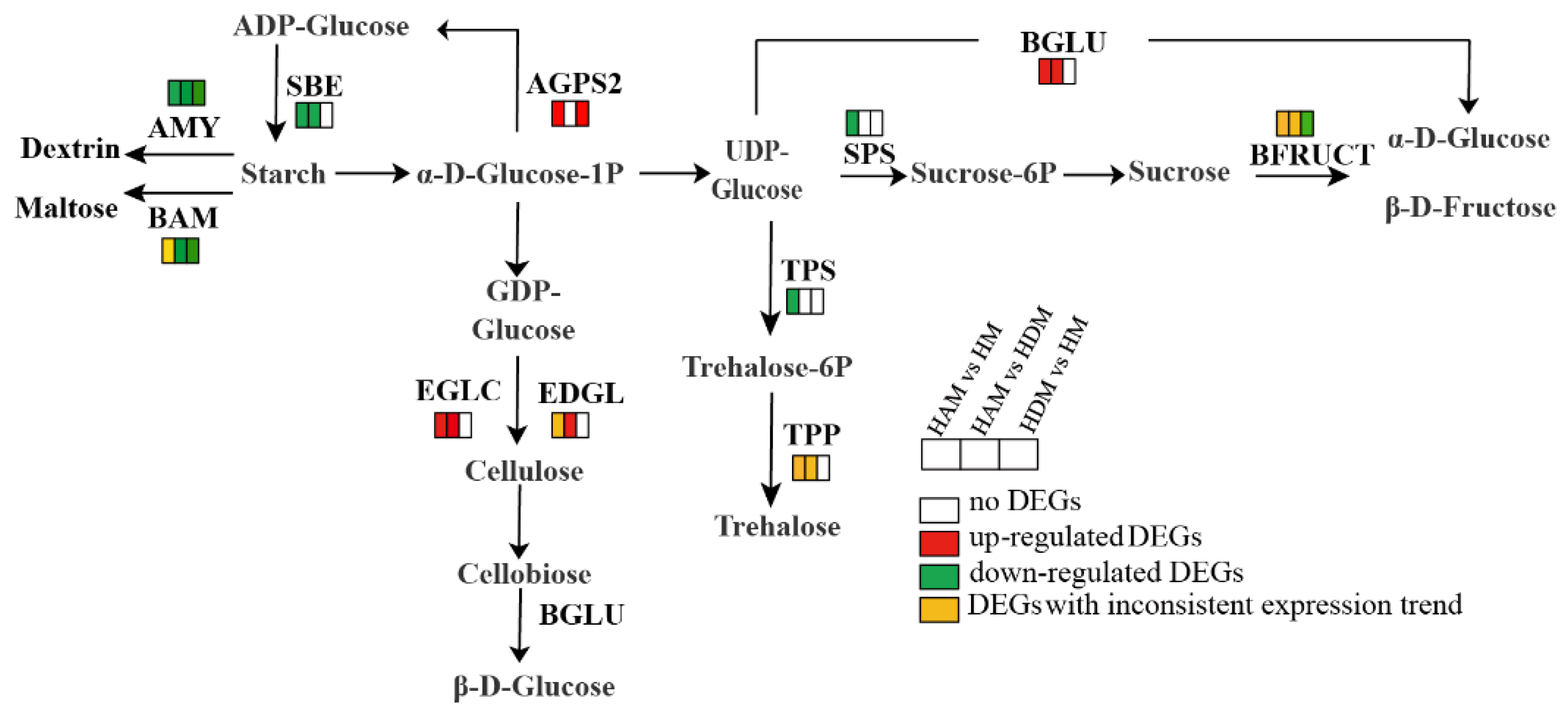 Ijms 24 06533 g008 Ijms 24 06533 g008