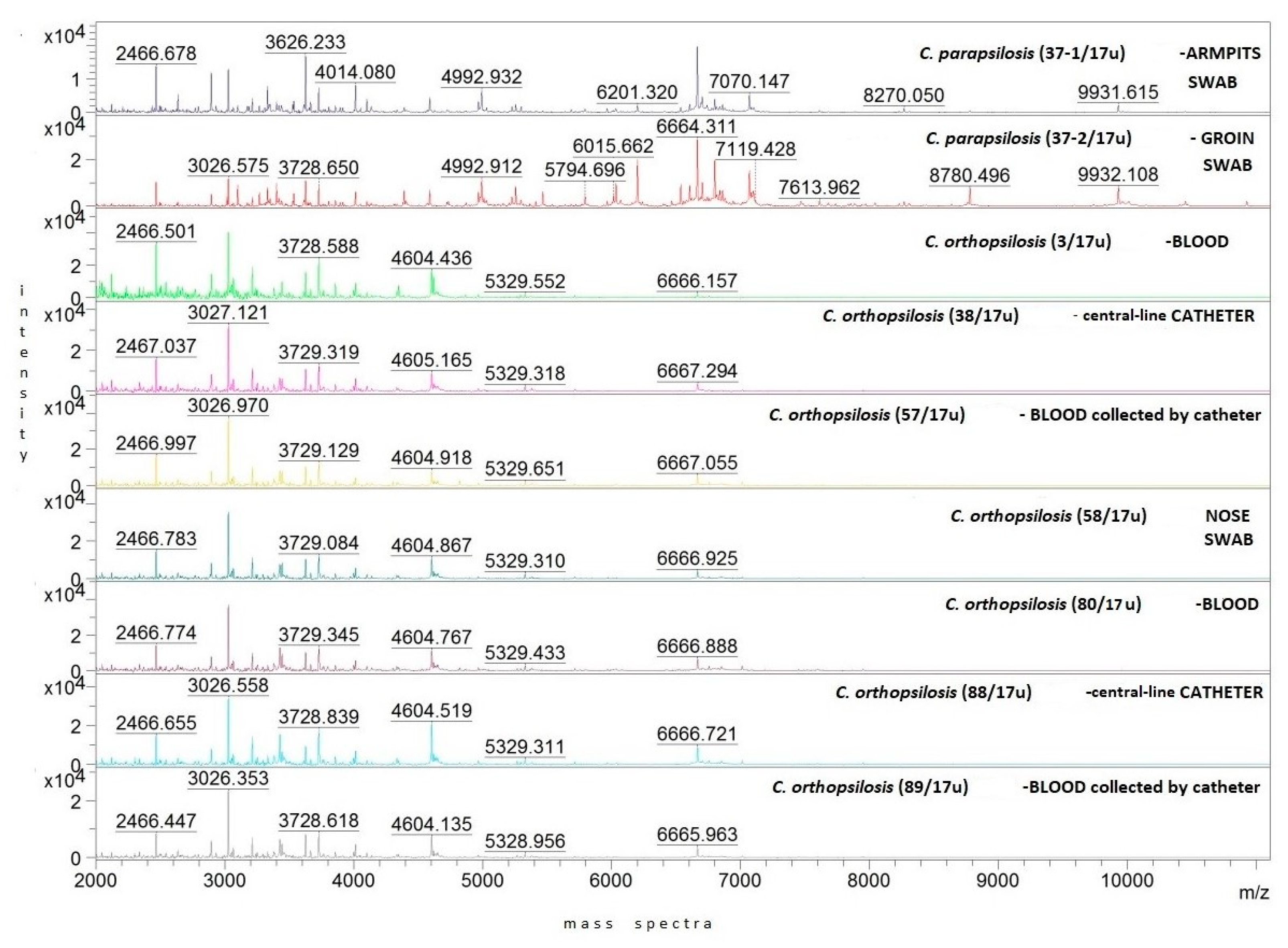 Ijms 24 06541 g001 Ijms 24 06541 g001