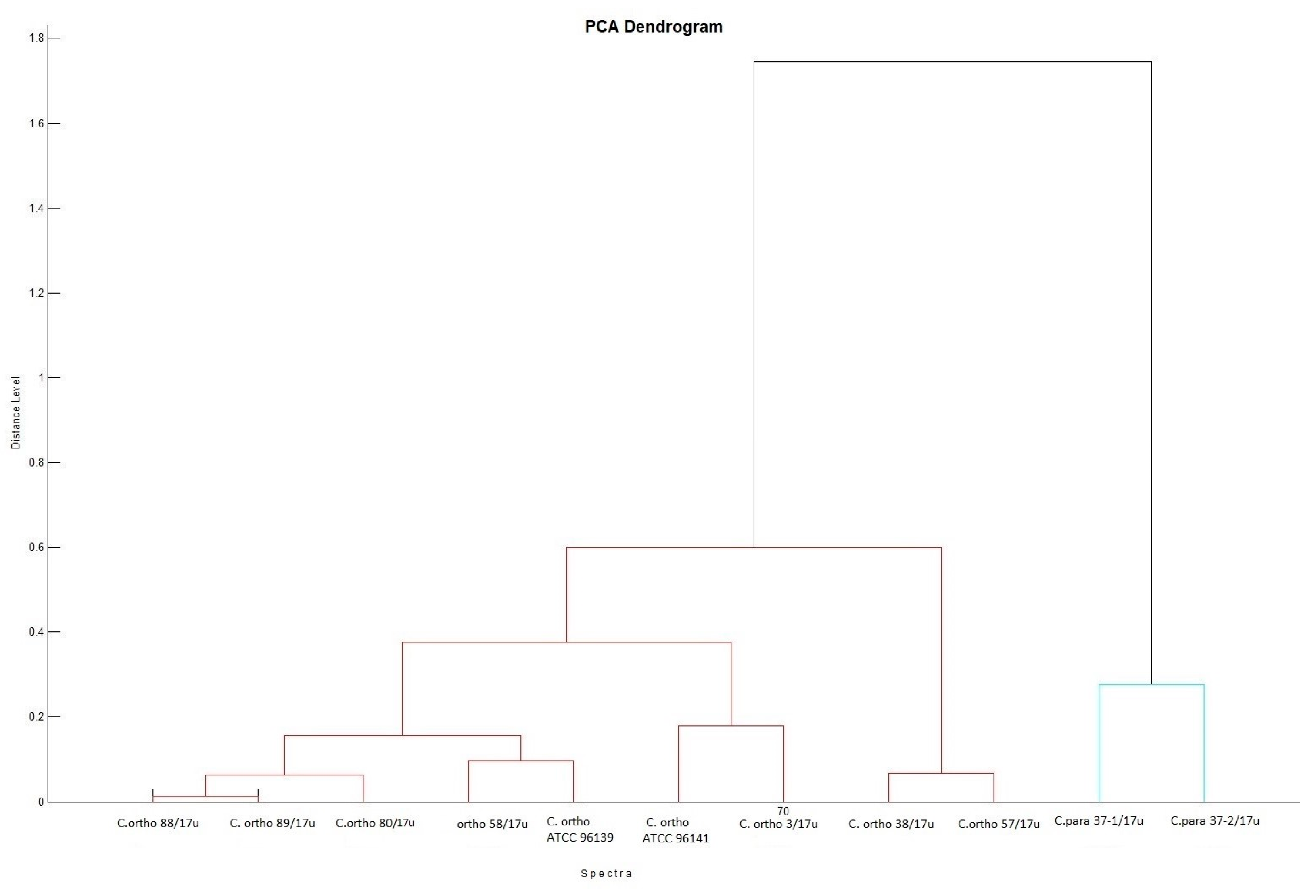 Ijms 24 06541 g002 Ijms 24 06541 g002