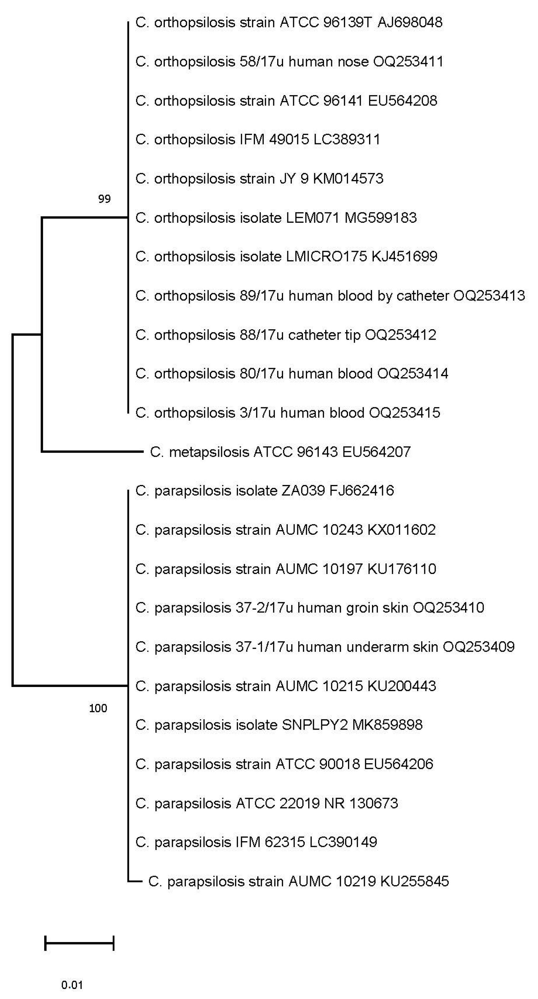 Ijms 24 06541 g003 Ijms 24 06541 g003