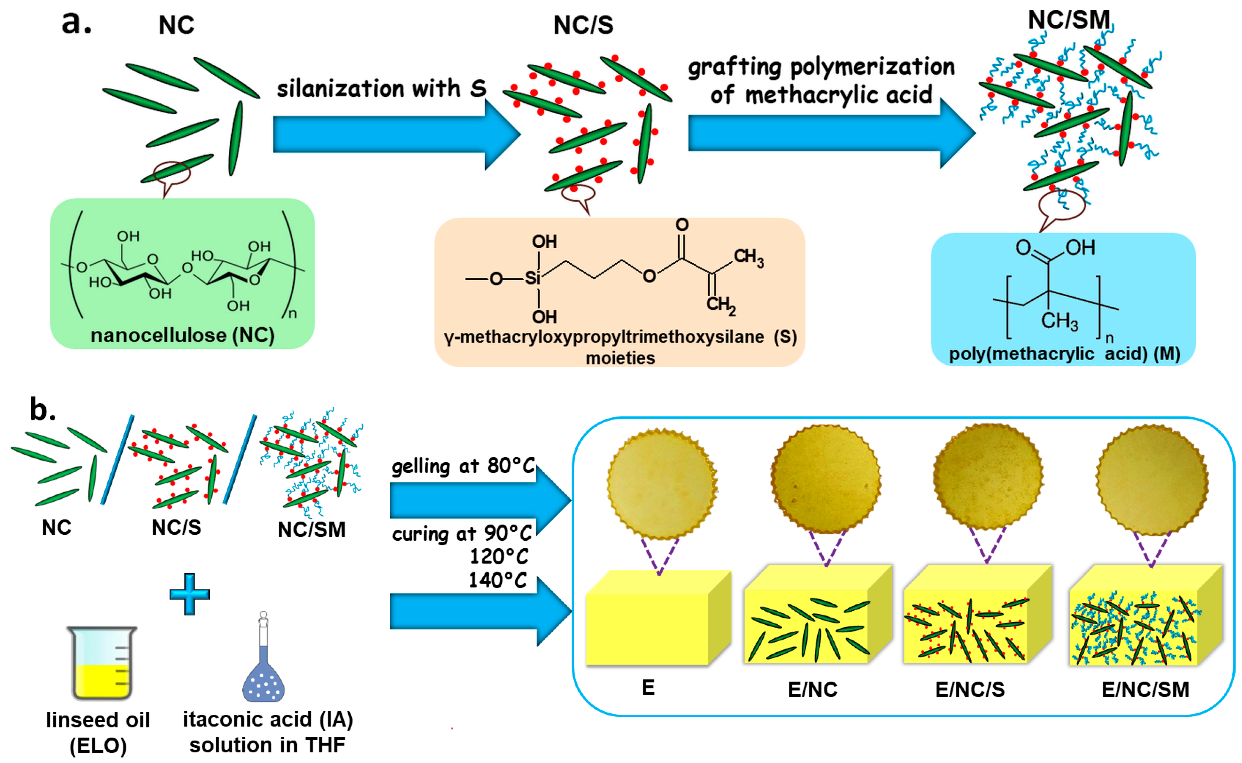 Ijms 24 06544 g001 Ijms 24 06544 g001