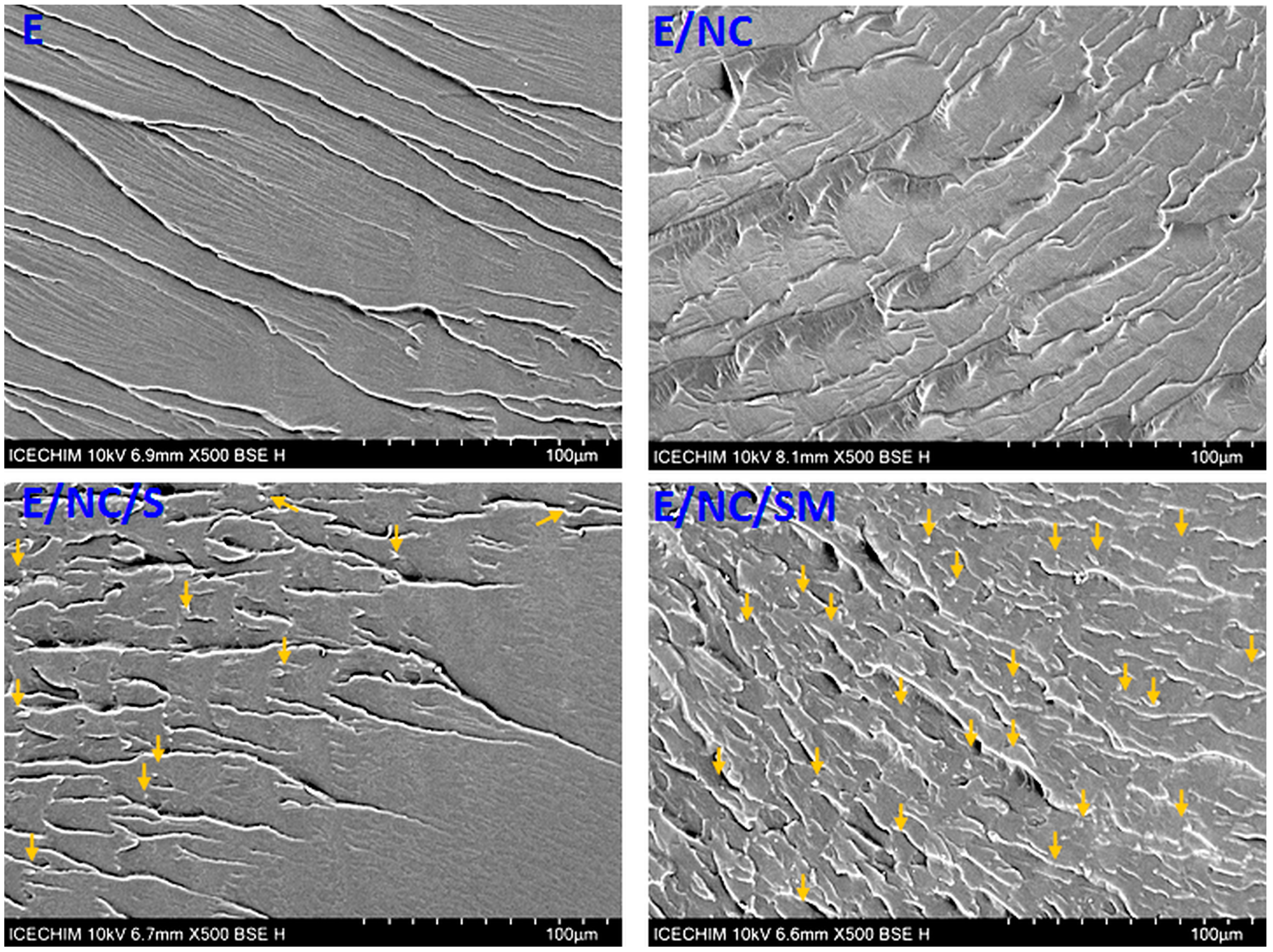 Ijms 24 06544 g008 Ijms 24 06544 g008