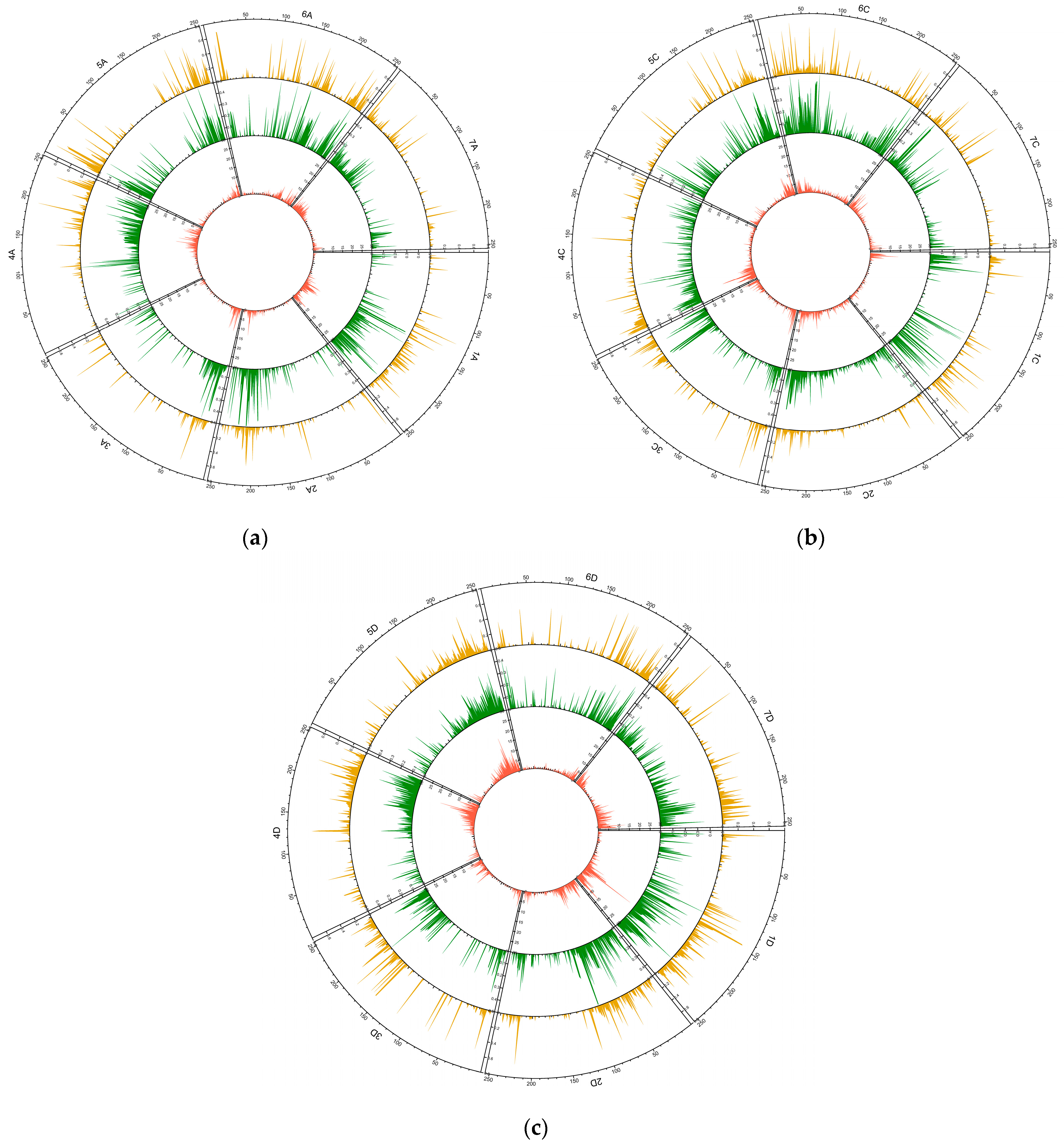 Ijms 24 06547 g001 Ijms 24 06547 g001