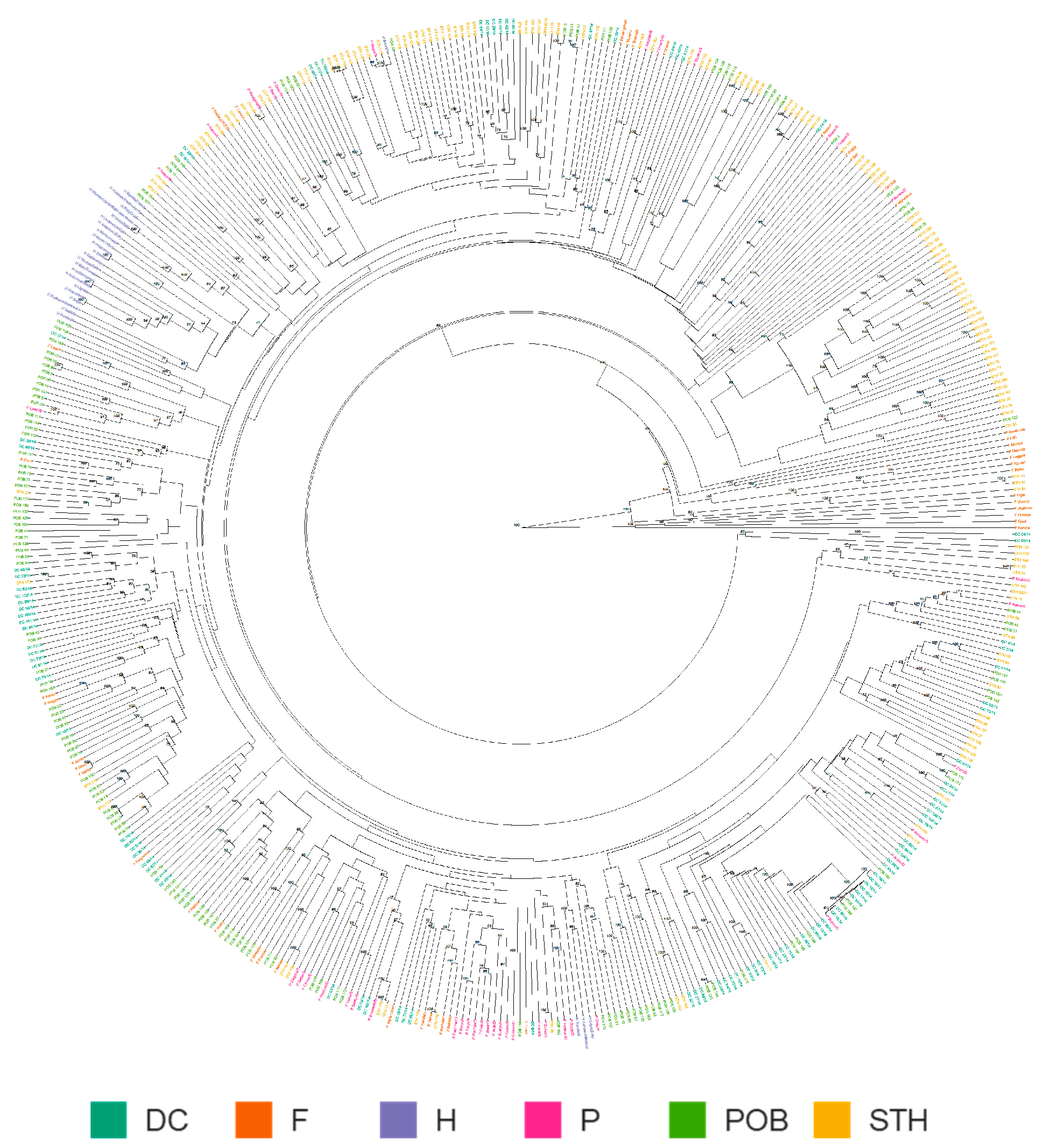 Ijms 24 06547 g003 Ijms 24 06547 g003