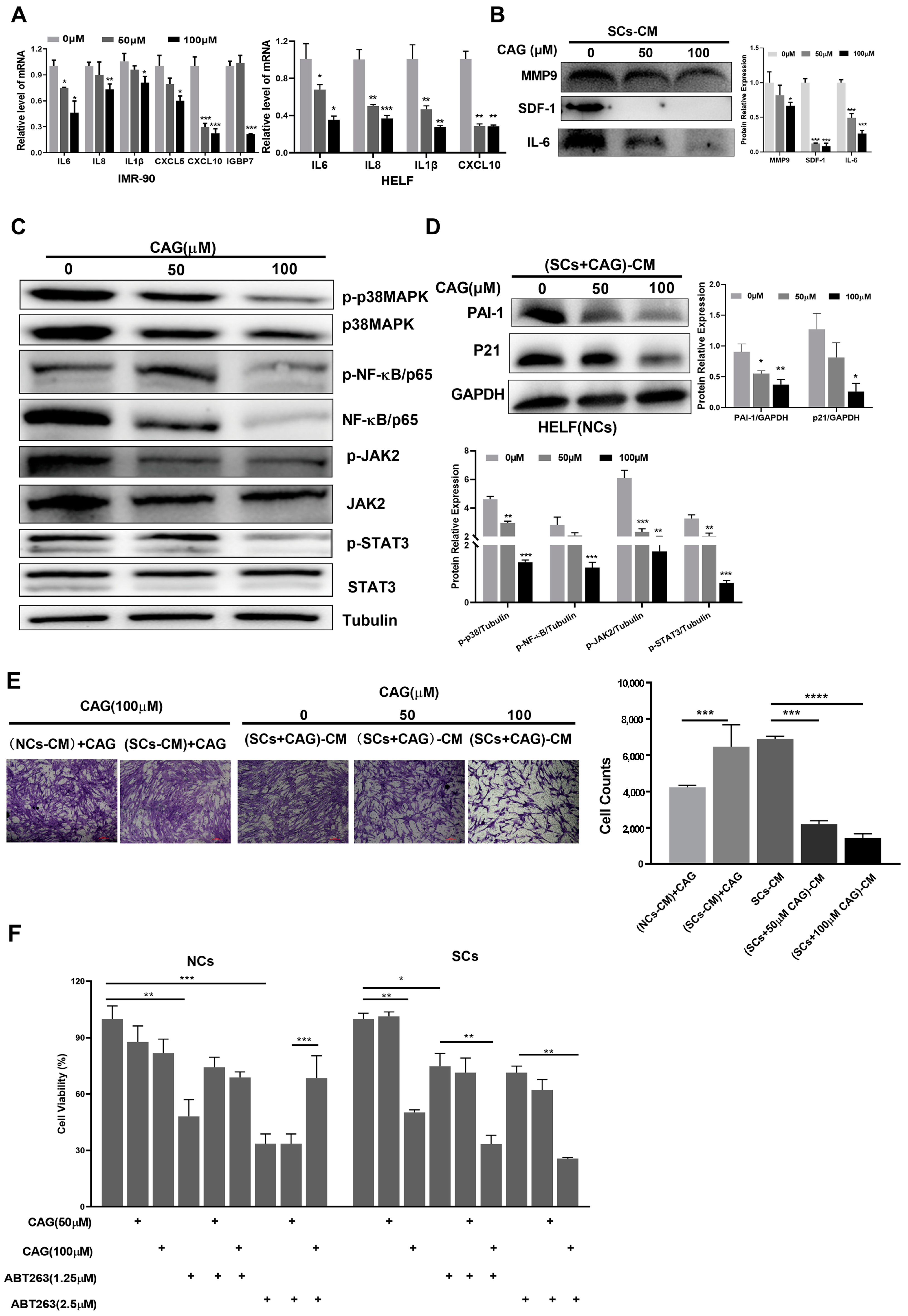 Ijms 24 06554 g003 Ijms 24 06554 g003