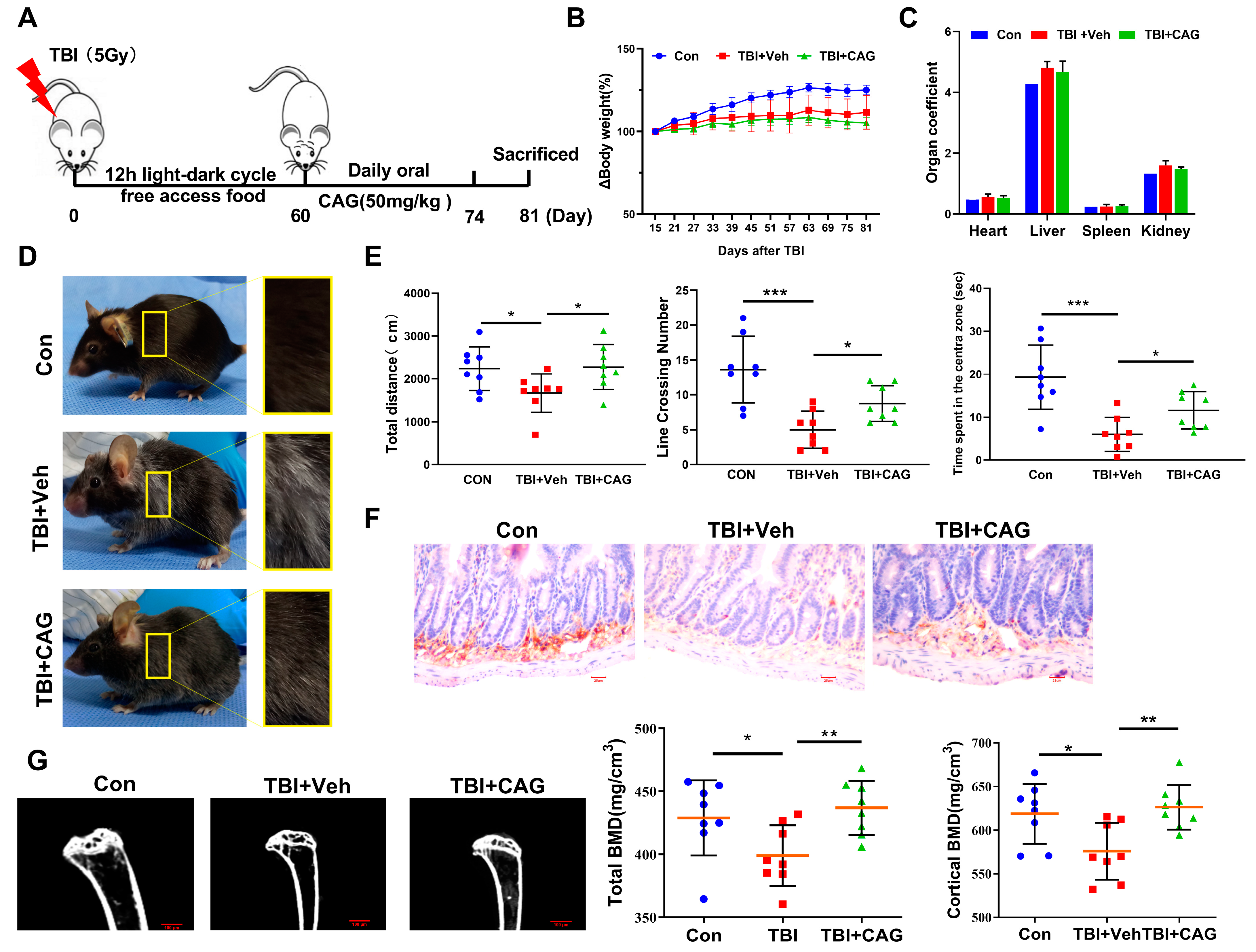 Ijms 24 06554 g004 Ijms 24 06554 g004