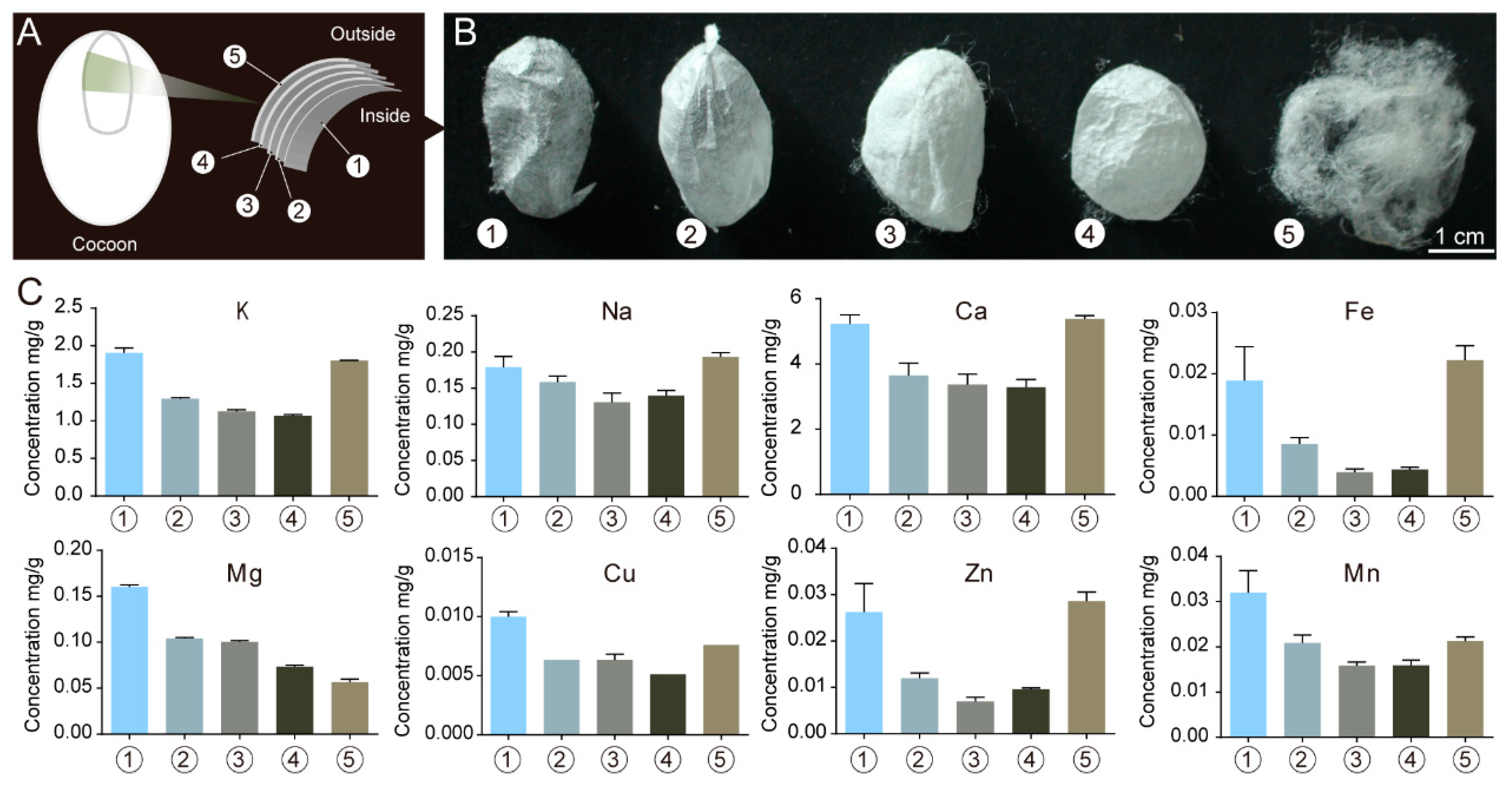 Ijms 24 06556 g004 Ijms 24 06556 g004