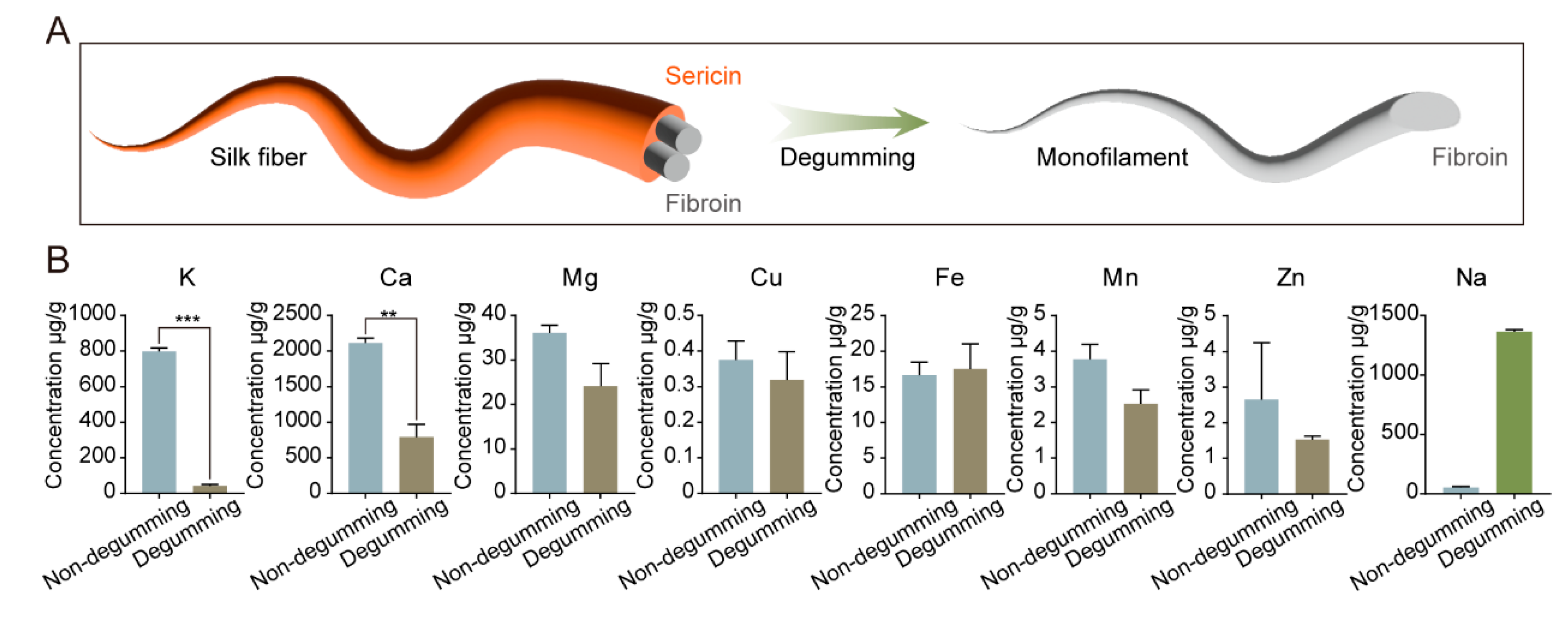 Ijms 24 06556 g005 Ijms 24 06556 g005