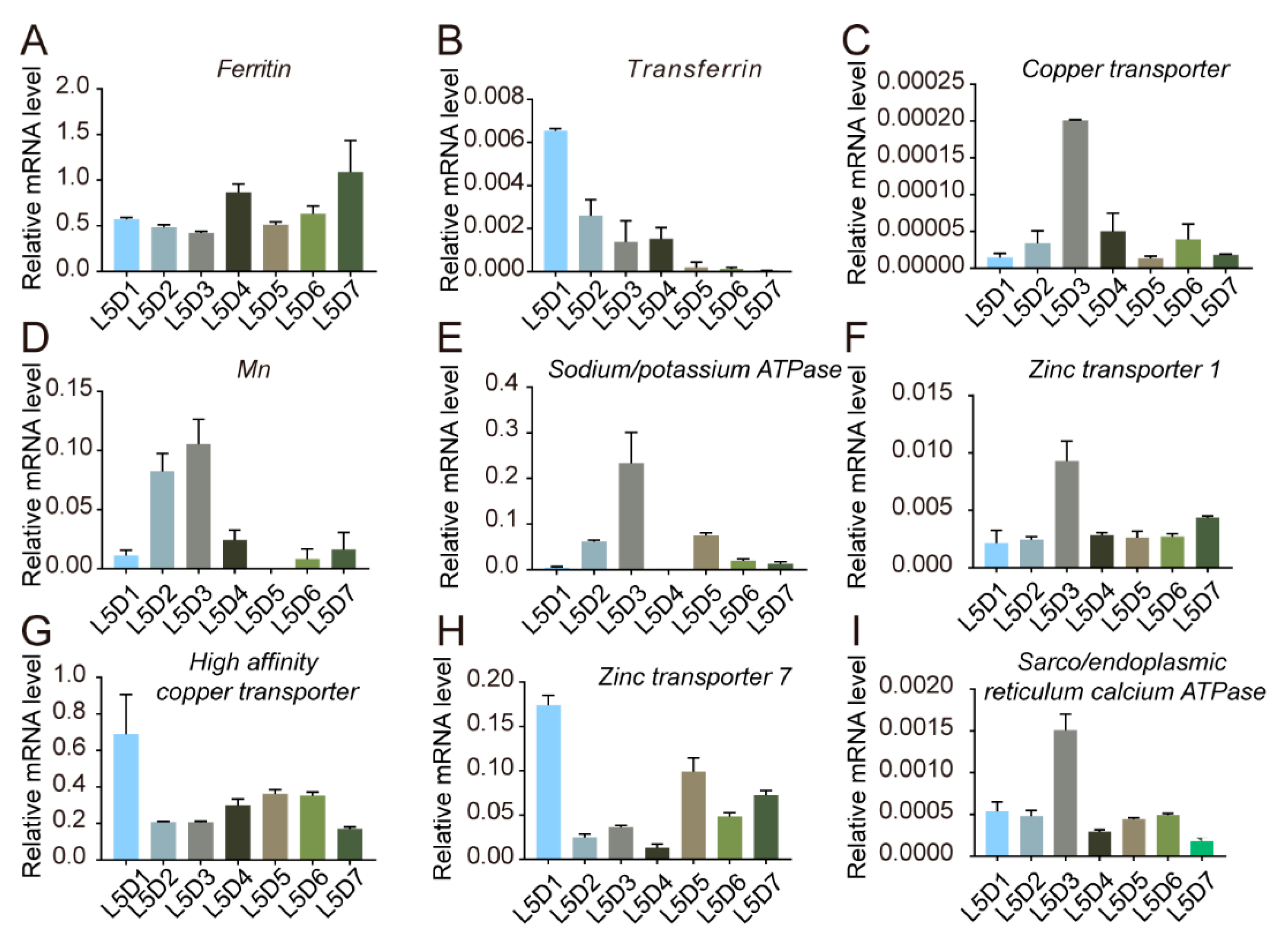 Ijms 24 06556 g007 Ijms 24 06556 g007
