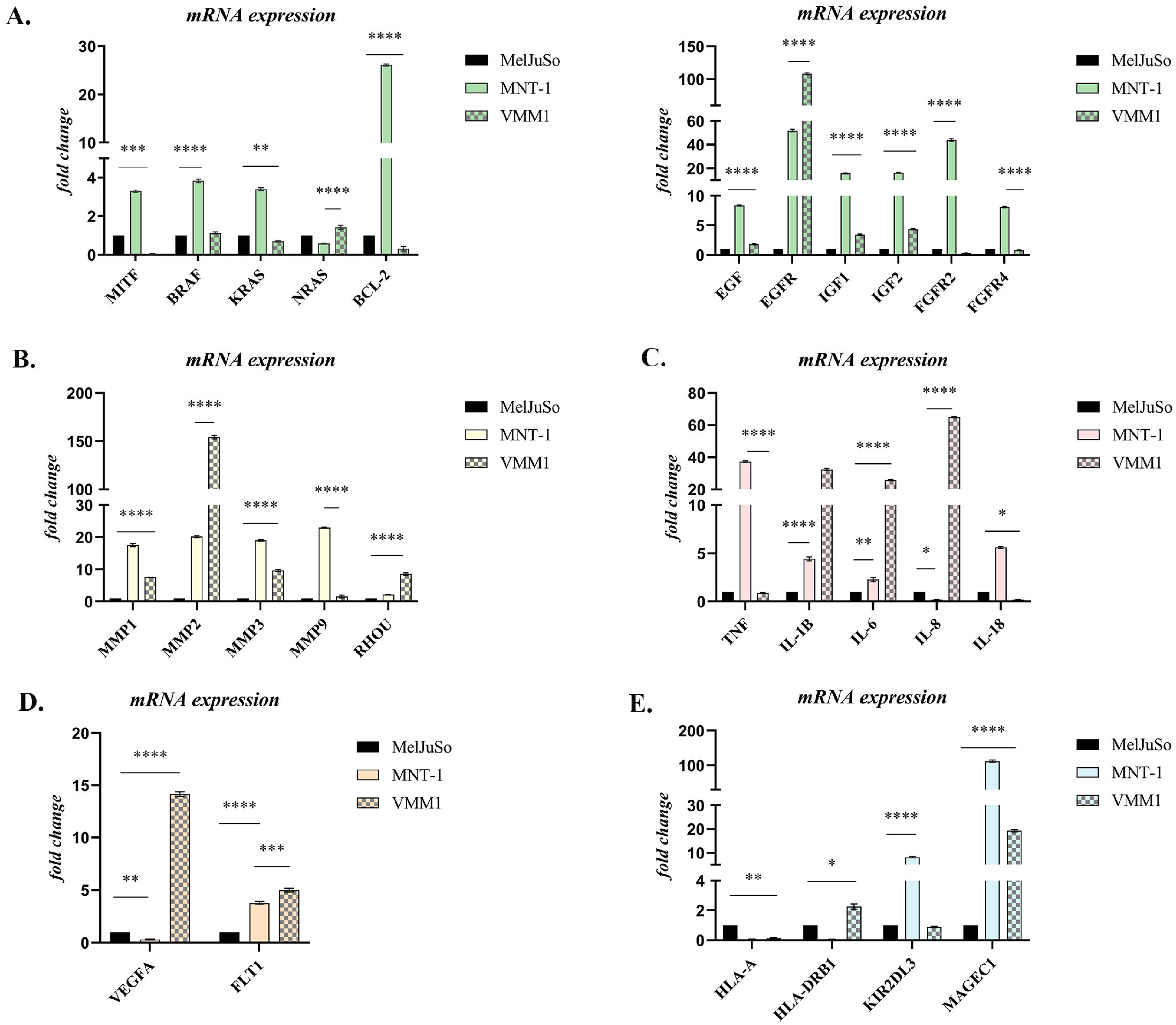 Ijms 24 06565 g001 Ijms 24 06565 g001