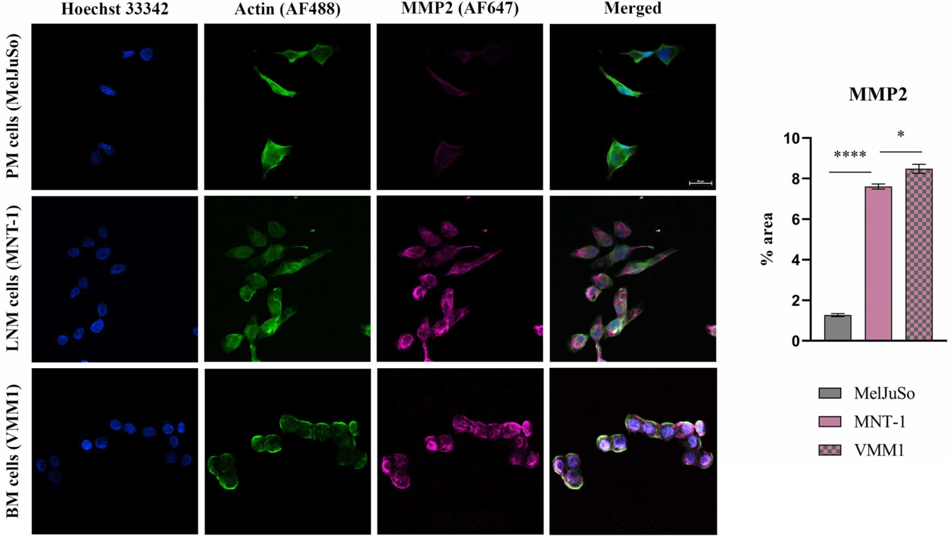 Ijms 24 06565 g003 Ijms 24 06565 g003