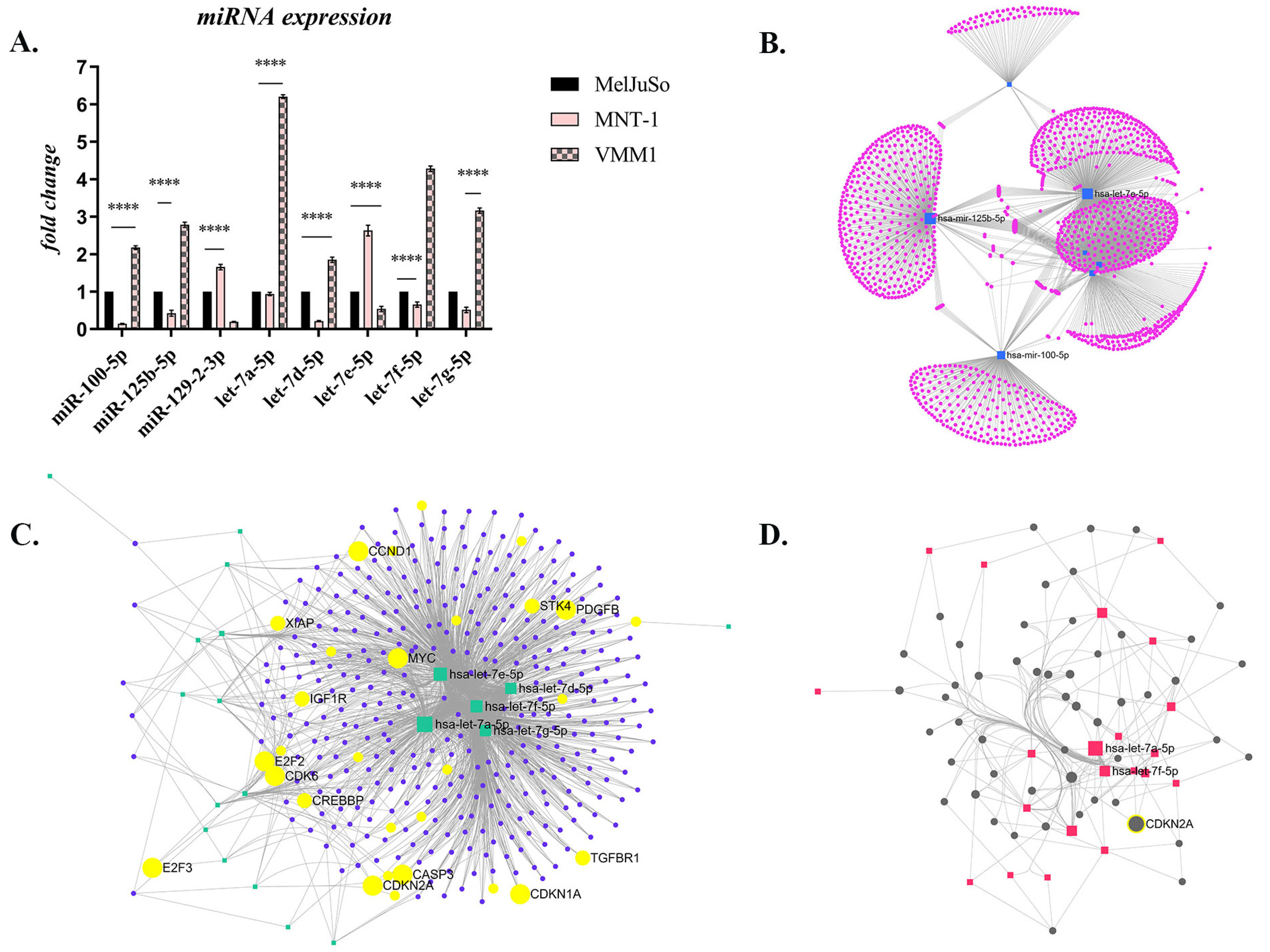Ijms 24 06565 g005 Ijms 24 06565 g005