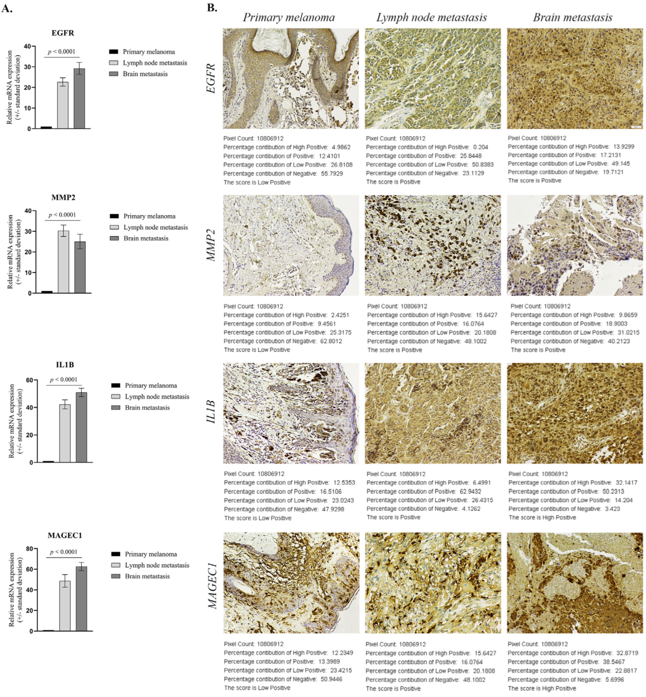 Ijms 24 06565 g006 Ijms 24 06565 g006