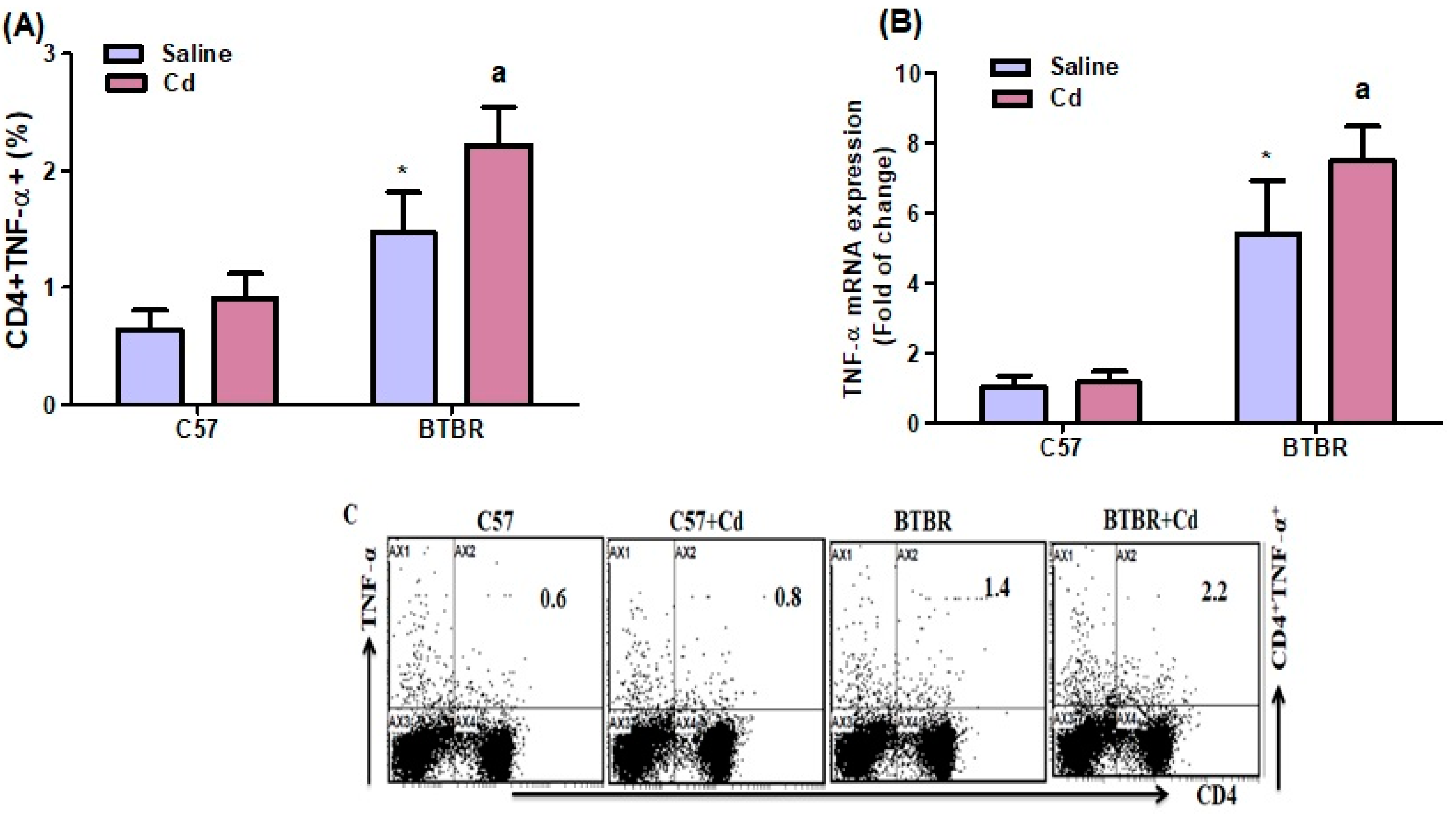 Ijms 24 06575 g004 Ijms 24 06575 g004