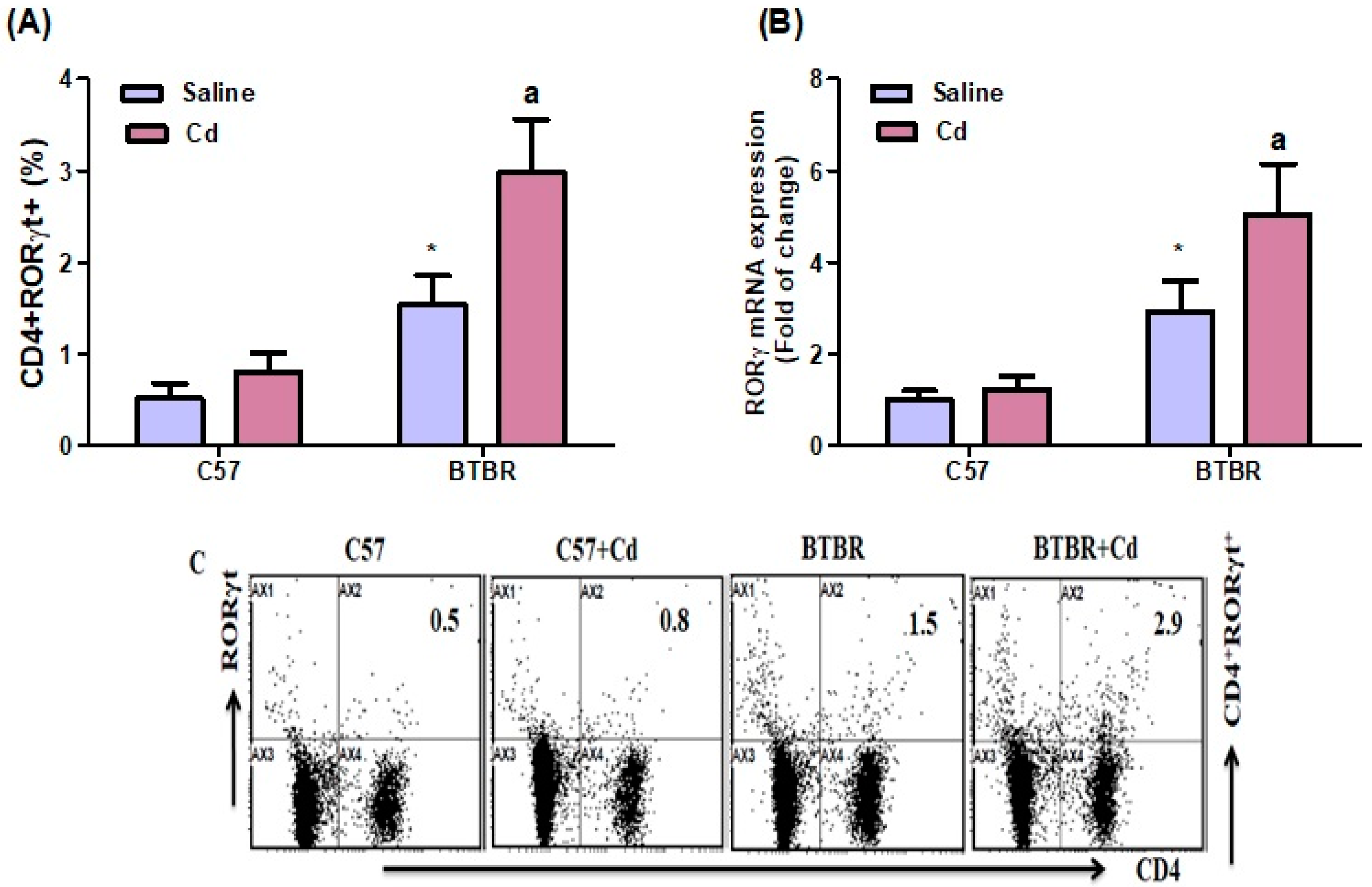 Ijms 24 06575 g006 Ijms 24 06575 g006
