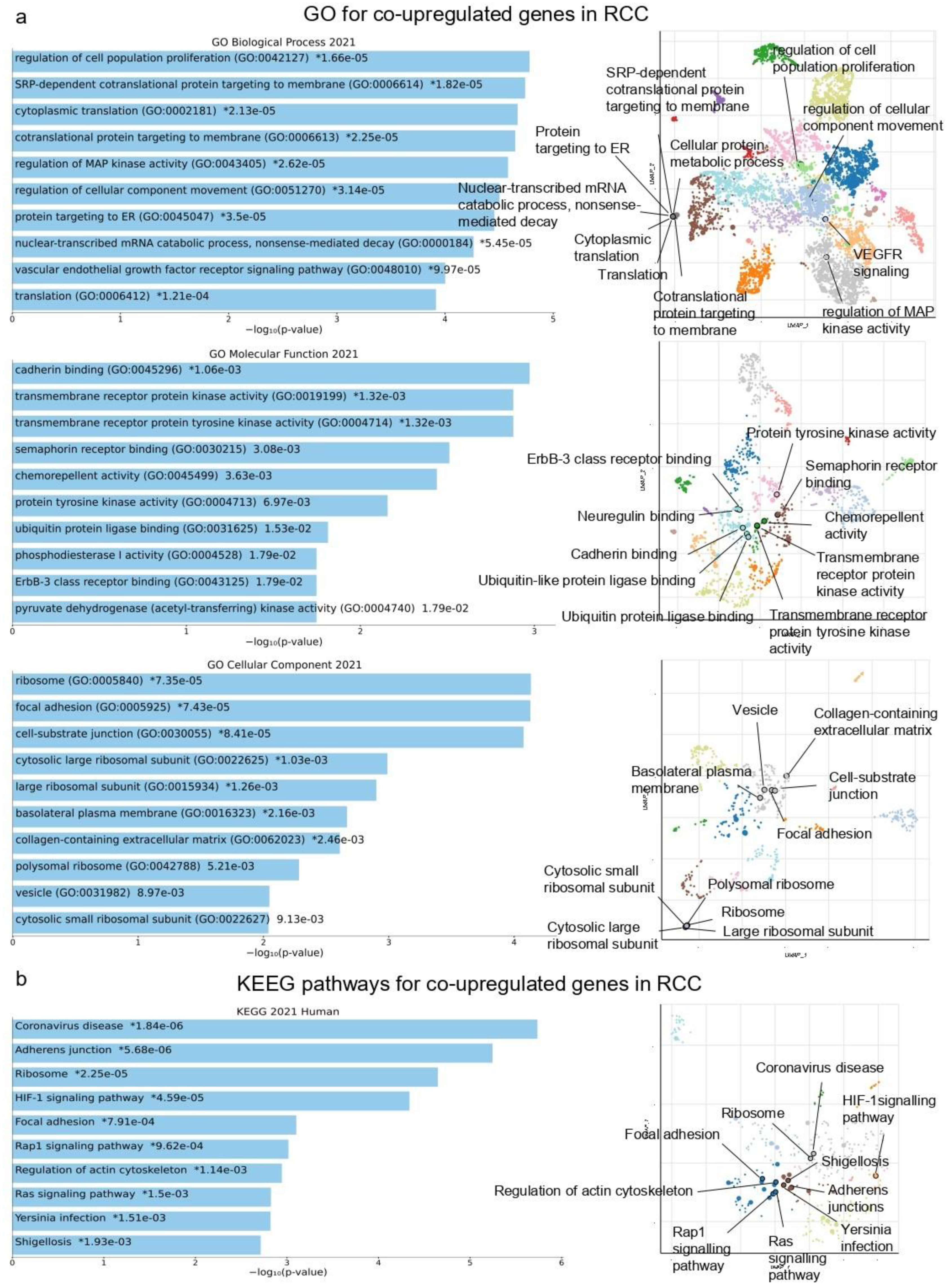 Ijms 24 06577 g001 Ijms 24 06577 g001