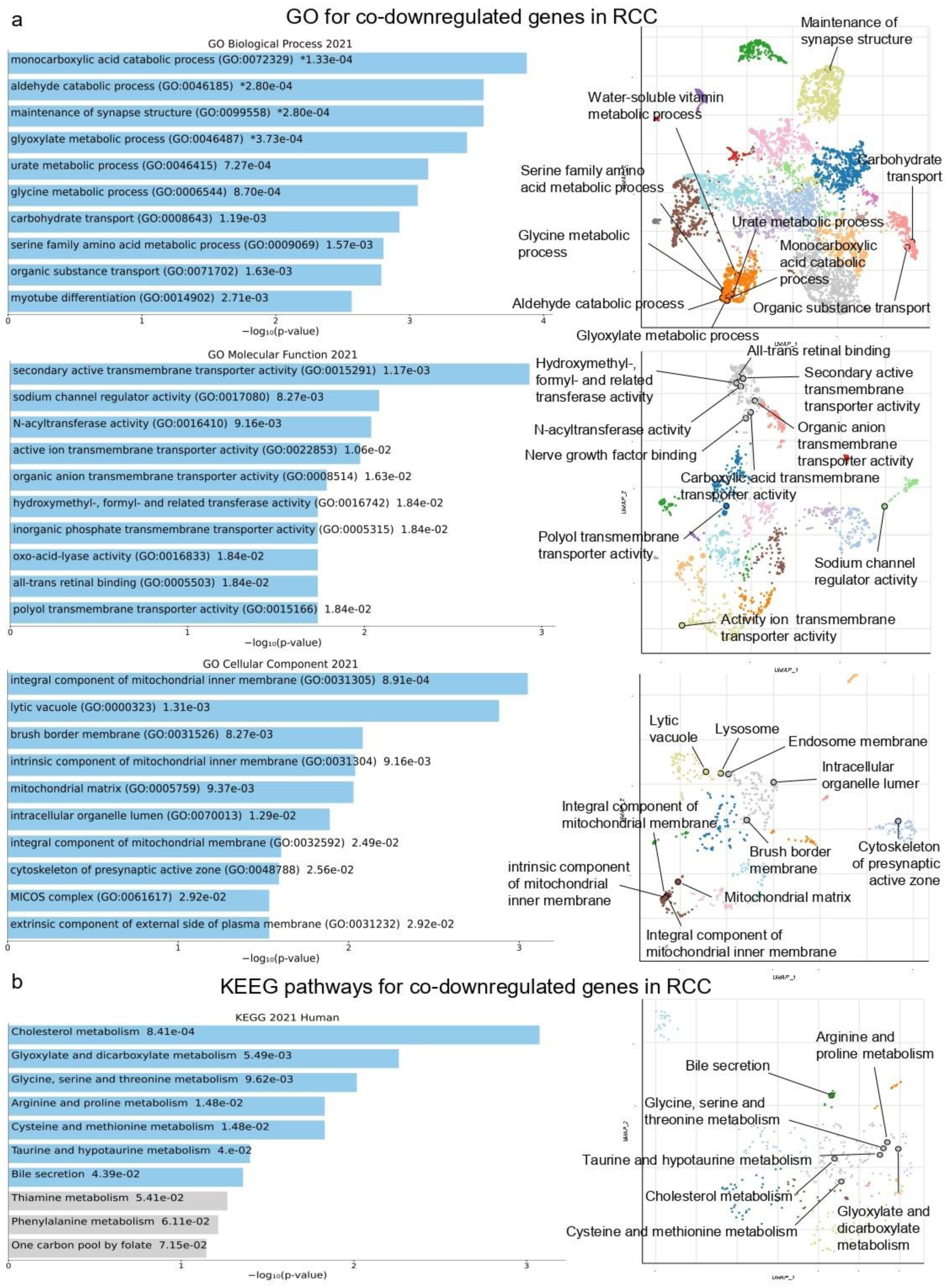 Ijms 24 06577 g002 Ijms 24 06577 g002