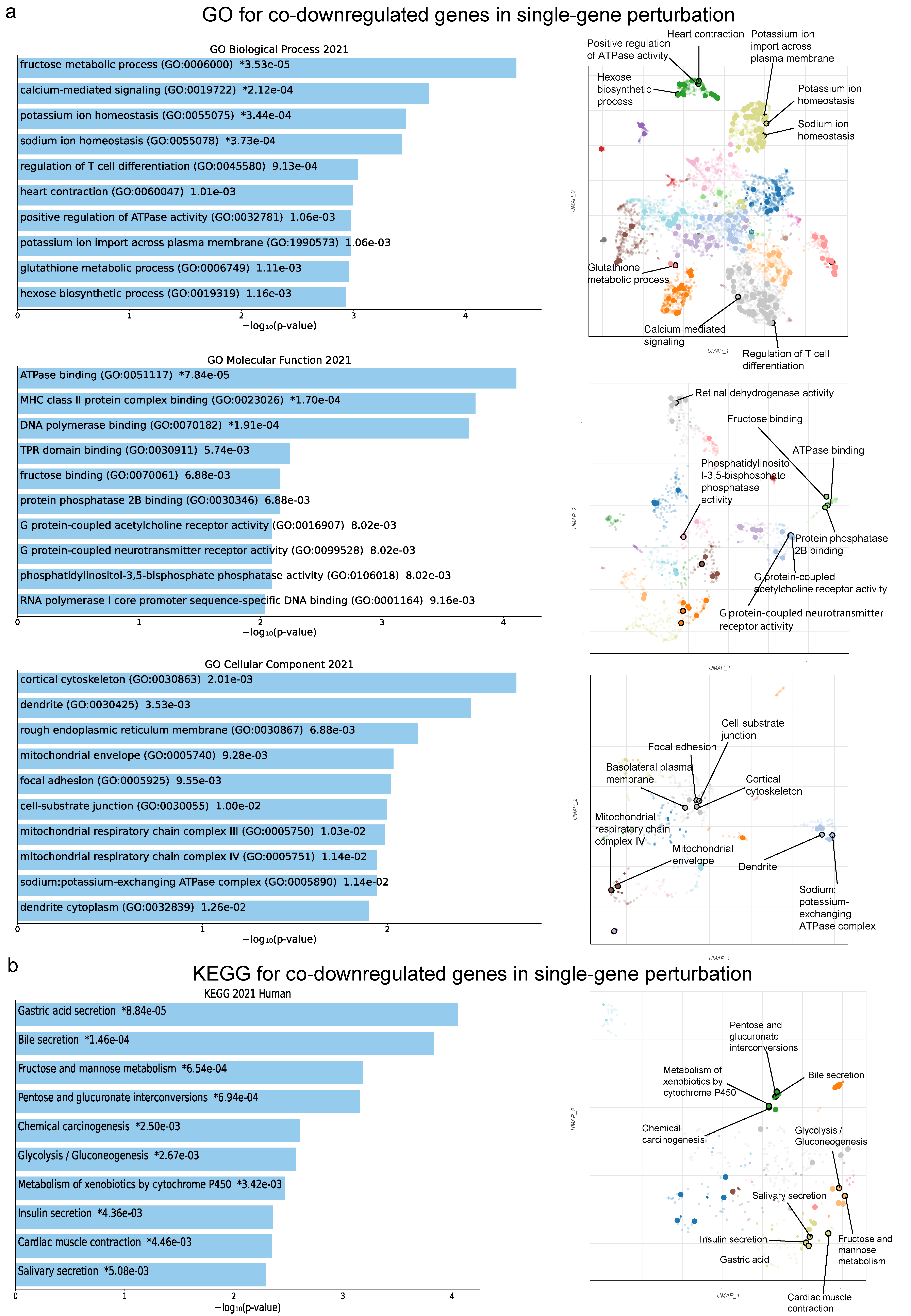 Ijms 24 06577 g005 Ijms 24 06577 g005